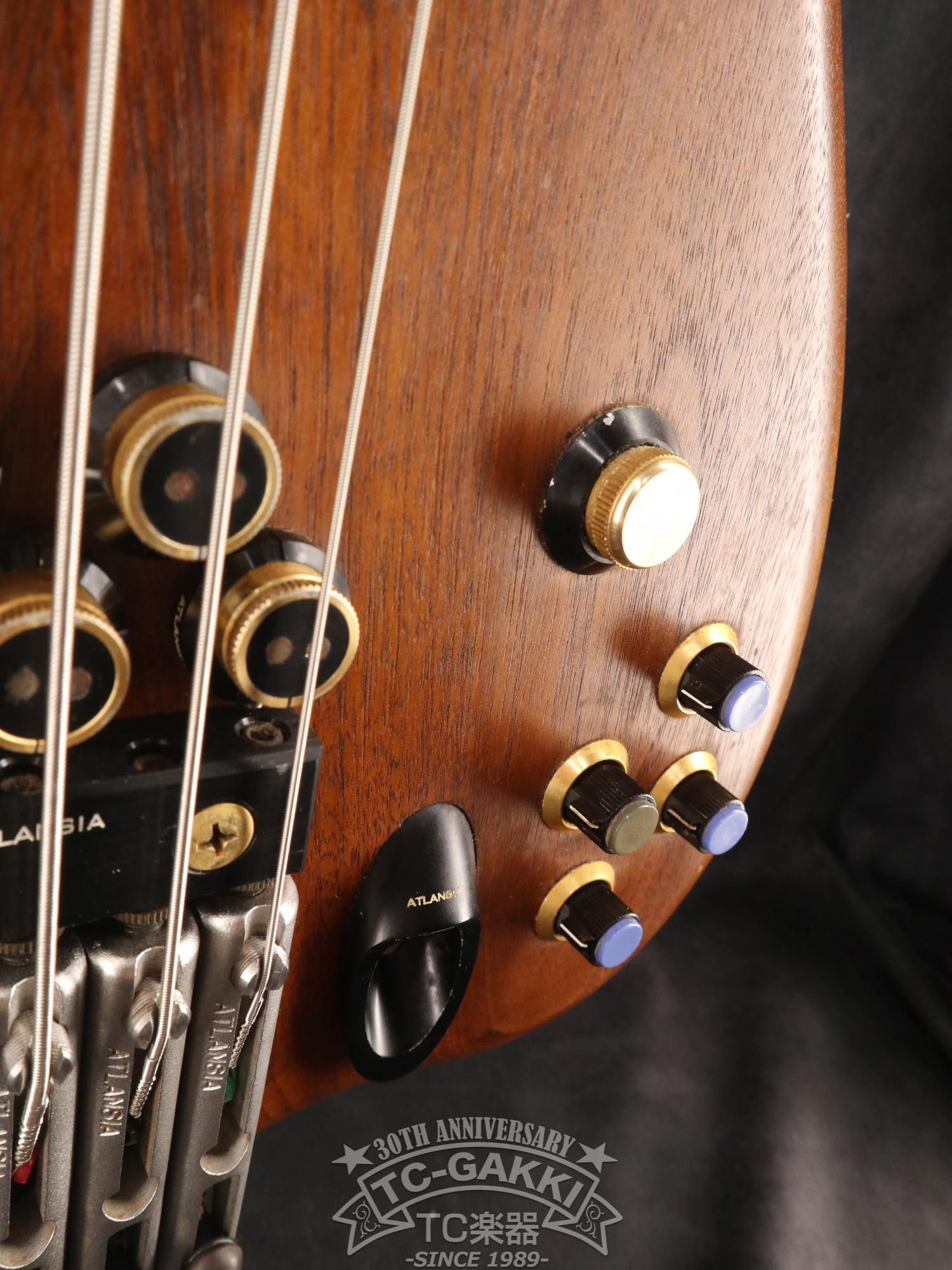 1989 Victoria 5st - TC楽器 - TCGAKKI