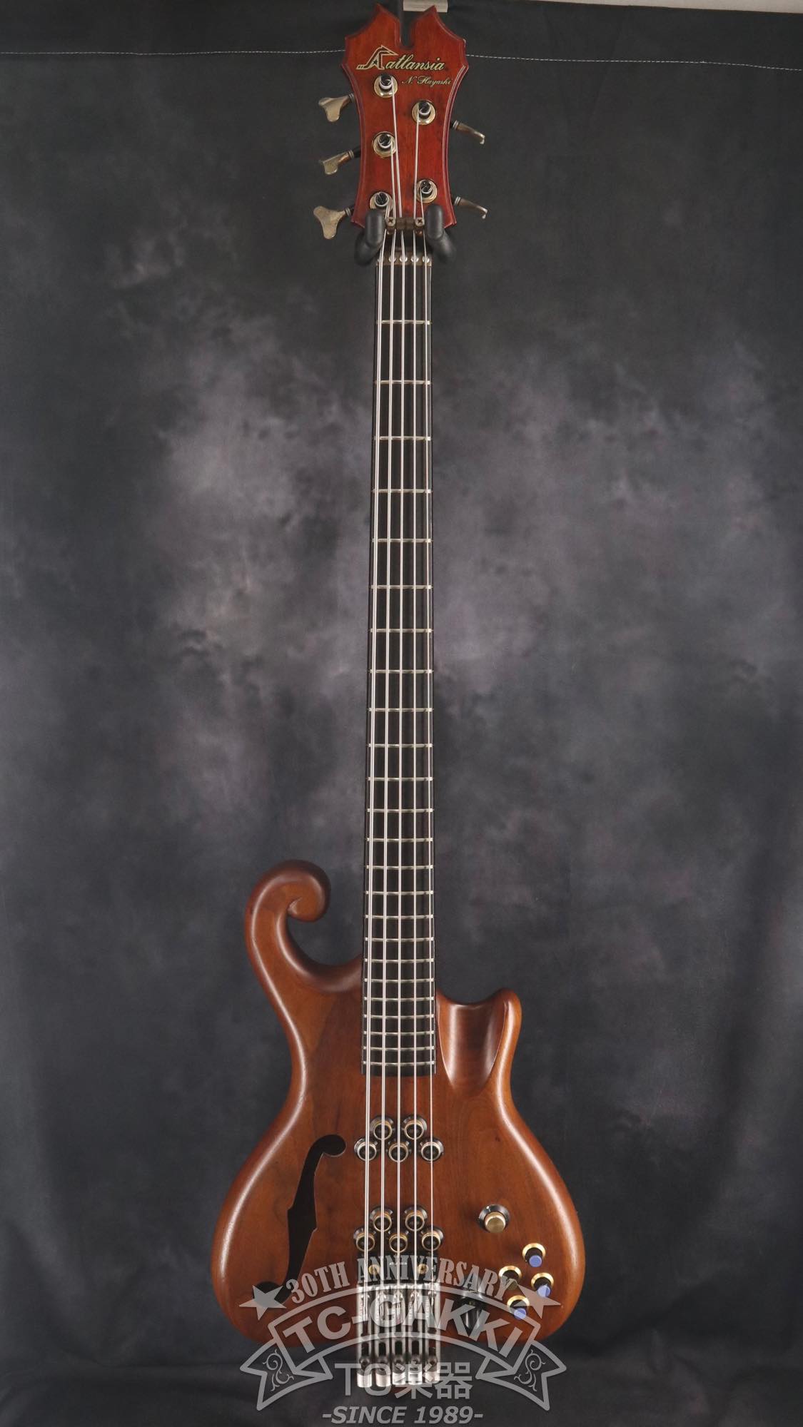 1989 Victoria 5st - TC楽器 - TCGAKKI