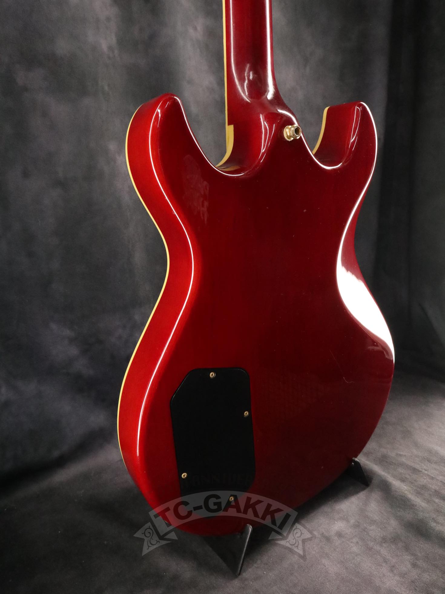 1990 ES - RF Robben Ford Model - TC楽器 - TCGAKKI