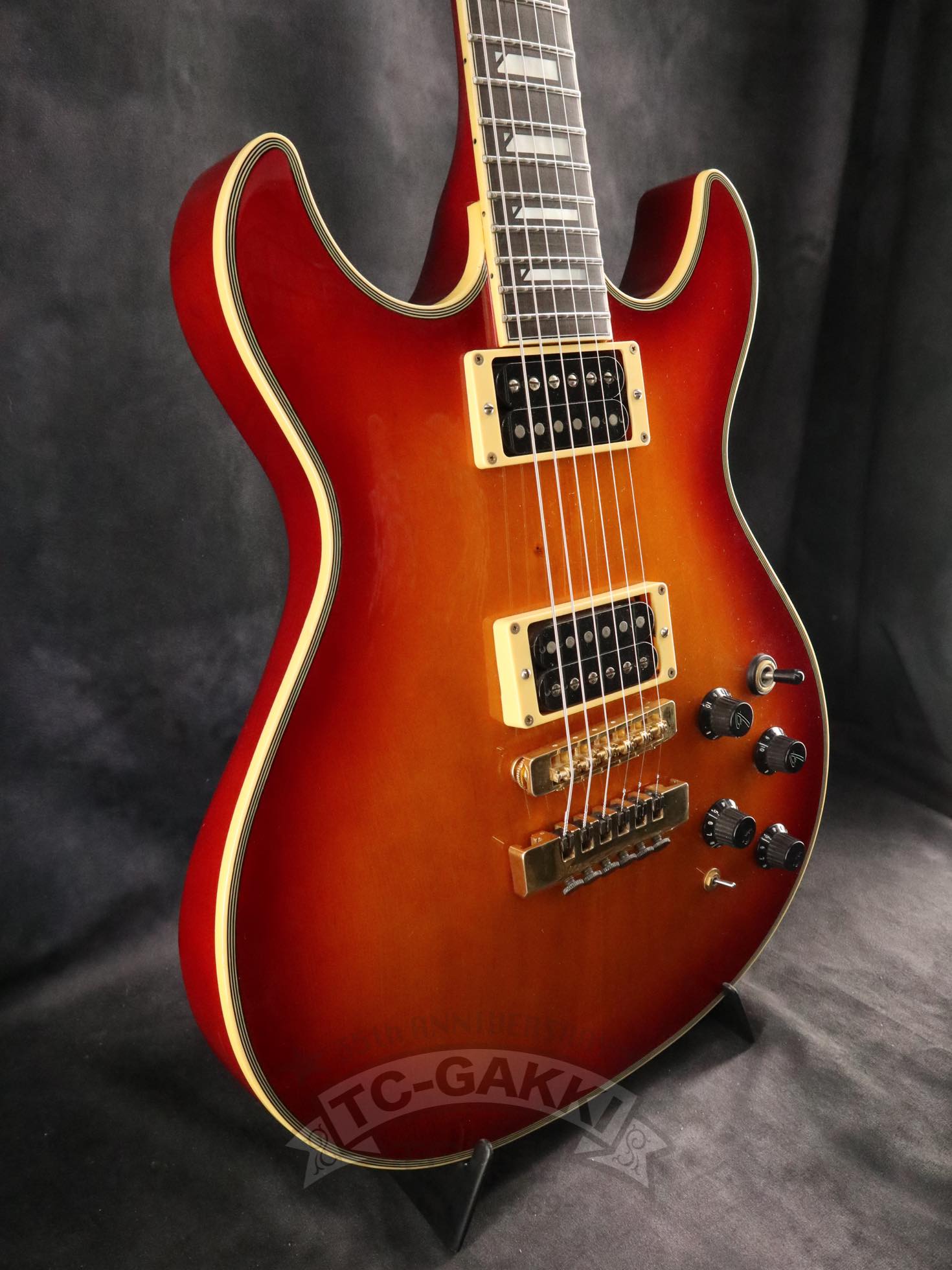 1990 ES - RF Robben Ford Model - TC楽器 - TCGAKKI