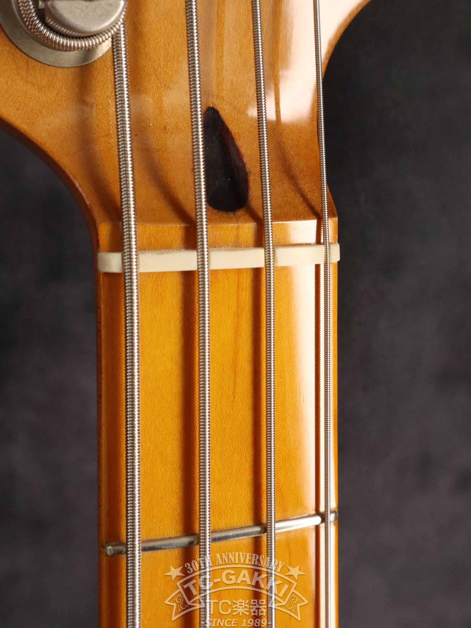 1990s American Vintage 57 Precision Bass Mod. - TC楽器 - TCGAKKI