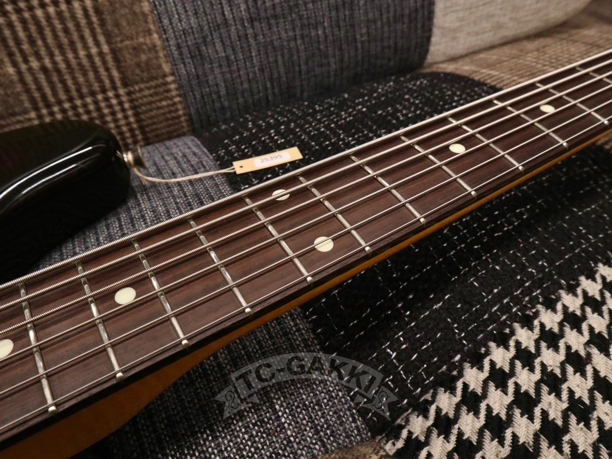 1992 - 1993 Custom Edition BASS VI - TC楽器 - TCGAKKI