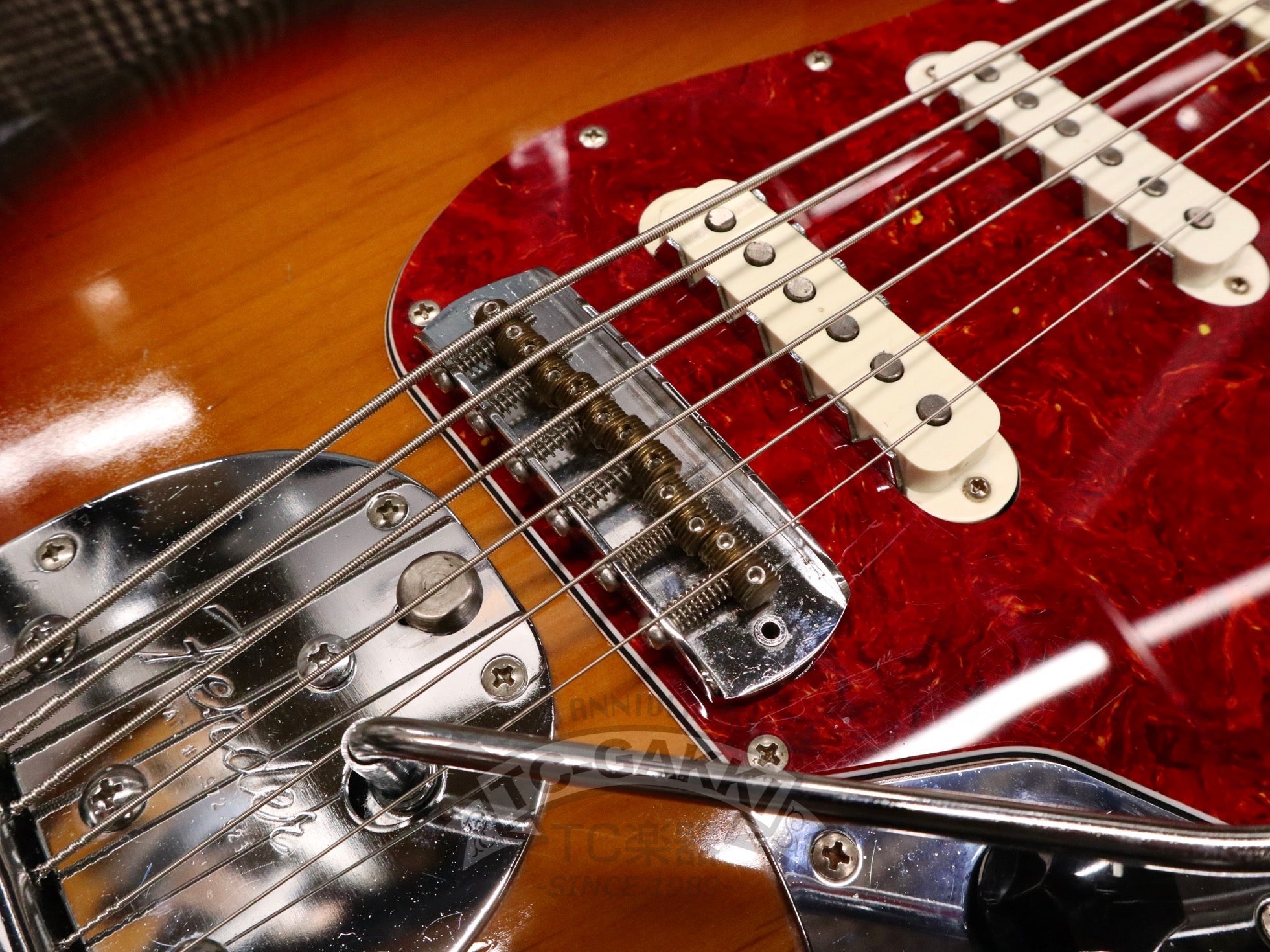 1992 - 1993 Custom Edition BASS VI - TC楽器 - TCGAKKI