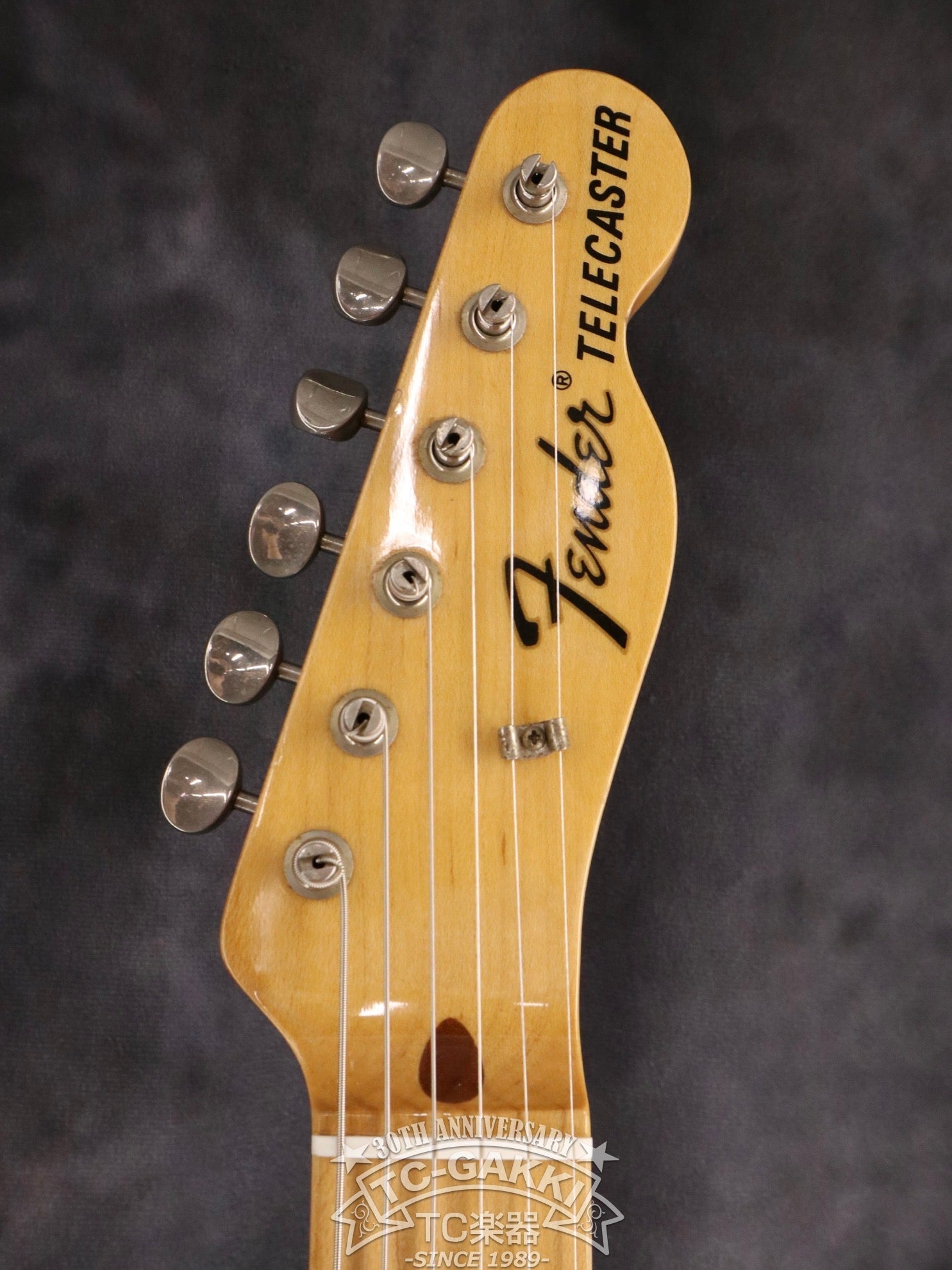 1993 - 94 TL69 - 75 Blue Flower - TC楽器 - TCGAKKI