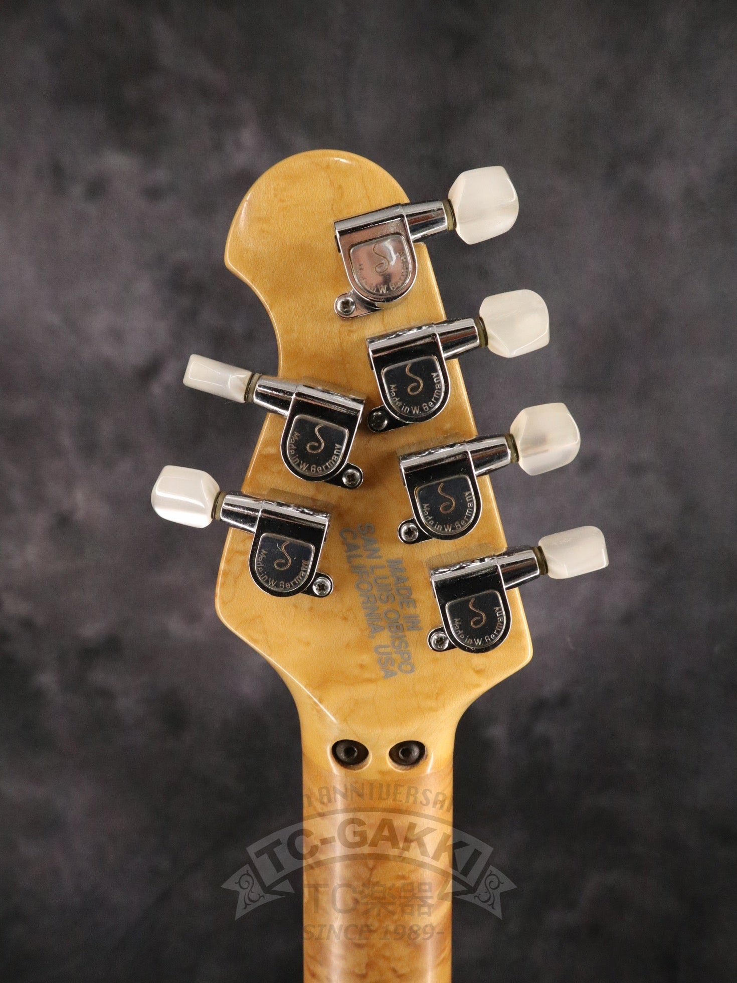 1993 EVH Signature - TC楽器 - TCGAKKI