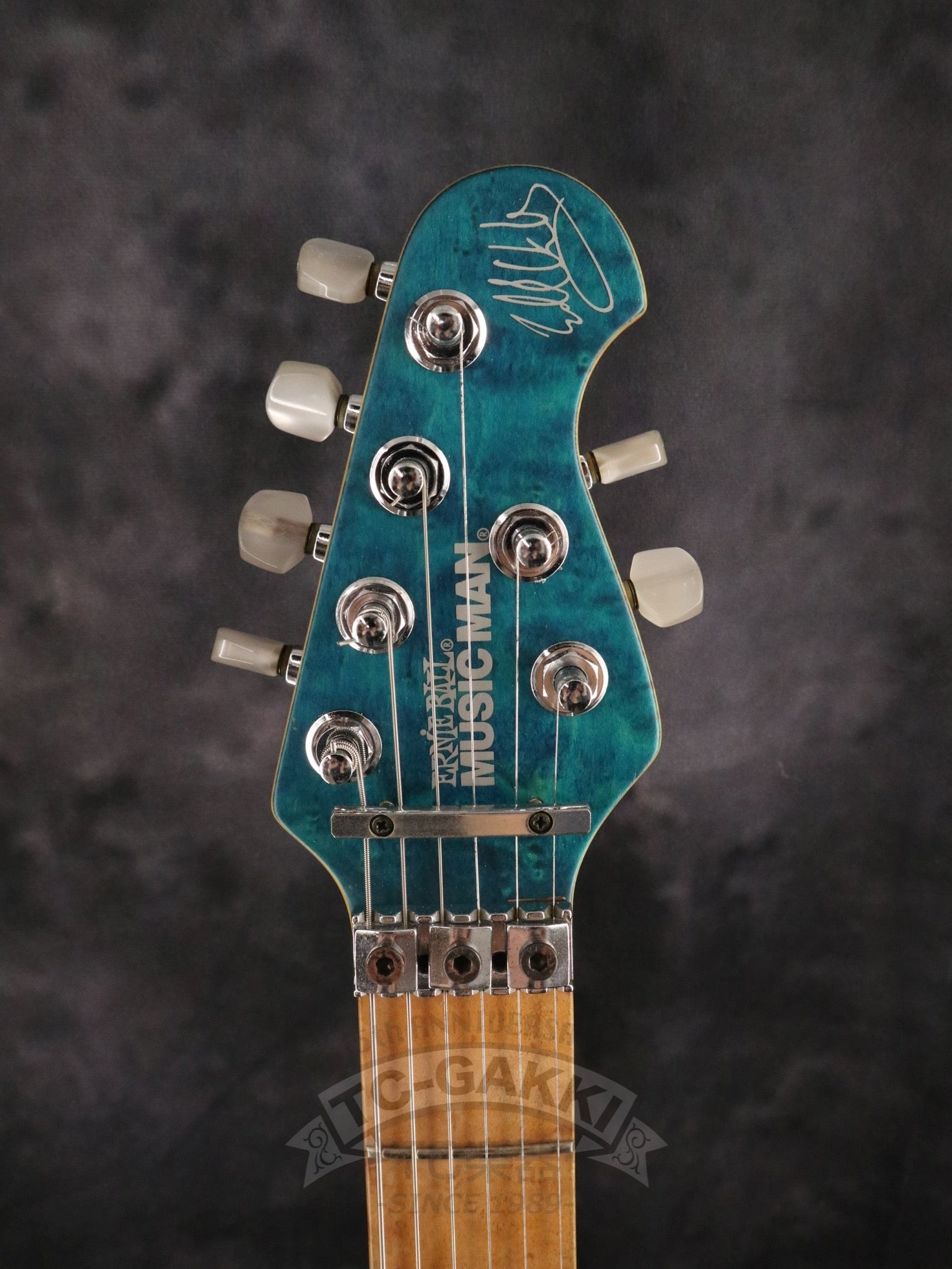 1993 EVH Signature - TC楽器 - TCGAKKI
