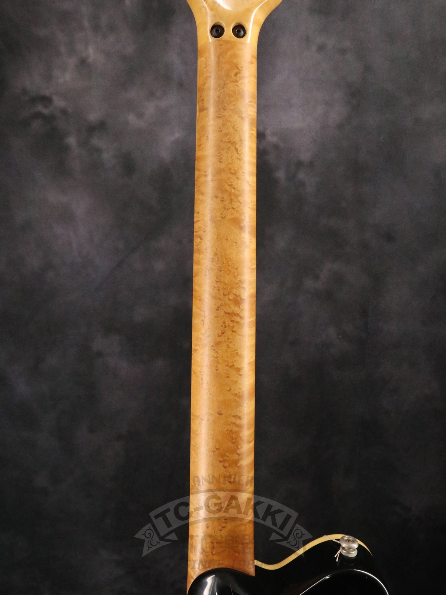 1993 EVH Signature - TC楽器 - TCGAKKI