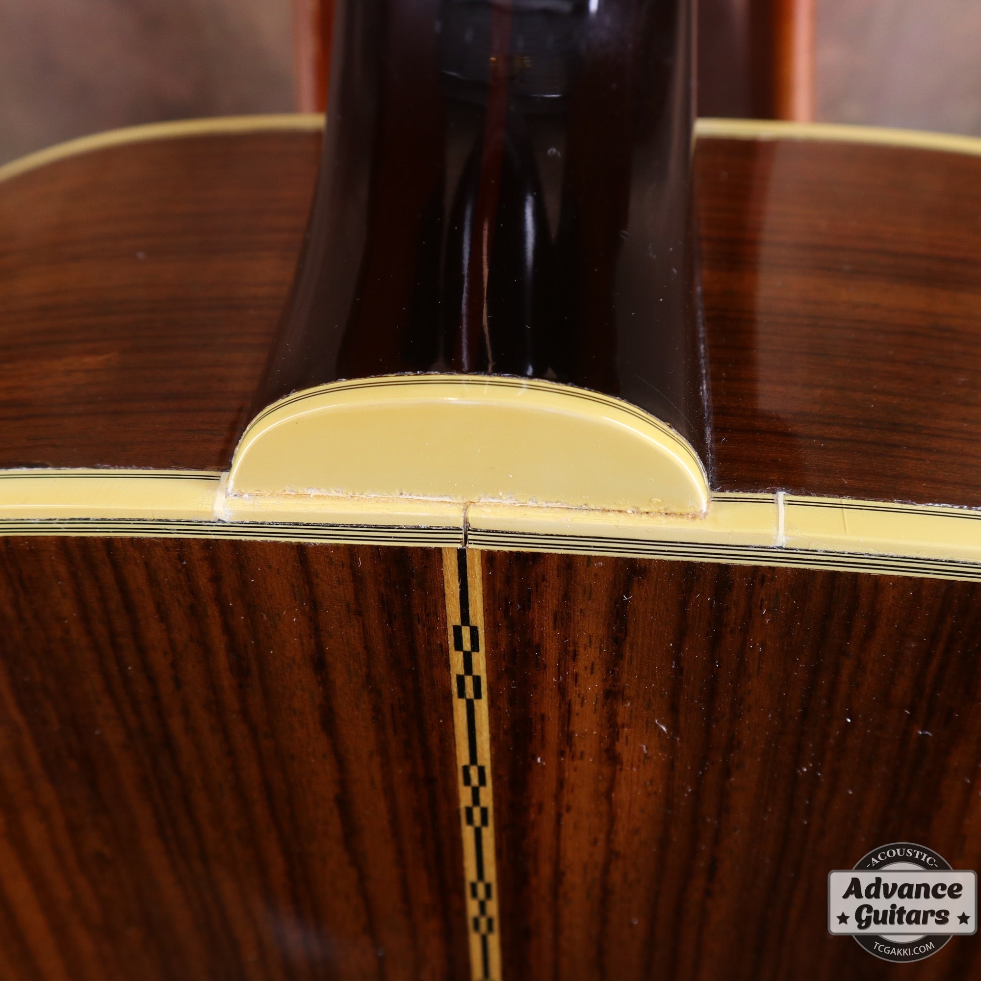 1993年製 GF - 55 NT - TC楽器 - TCGAKKI