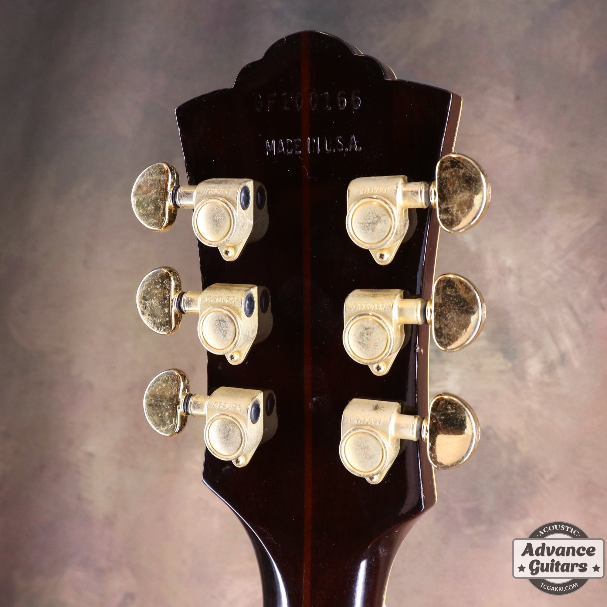 1993年製 GF - 55 NT - TC楽器 - TCGAKKI