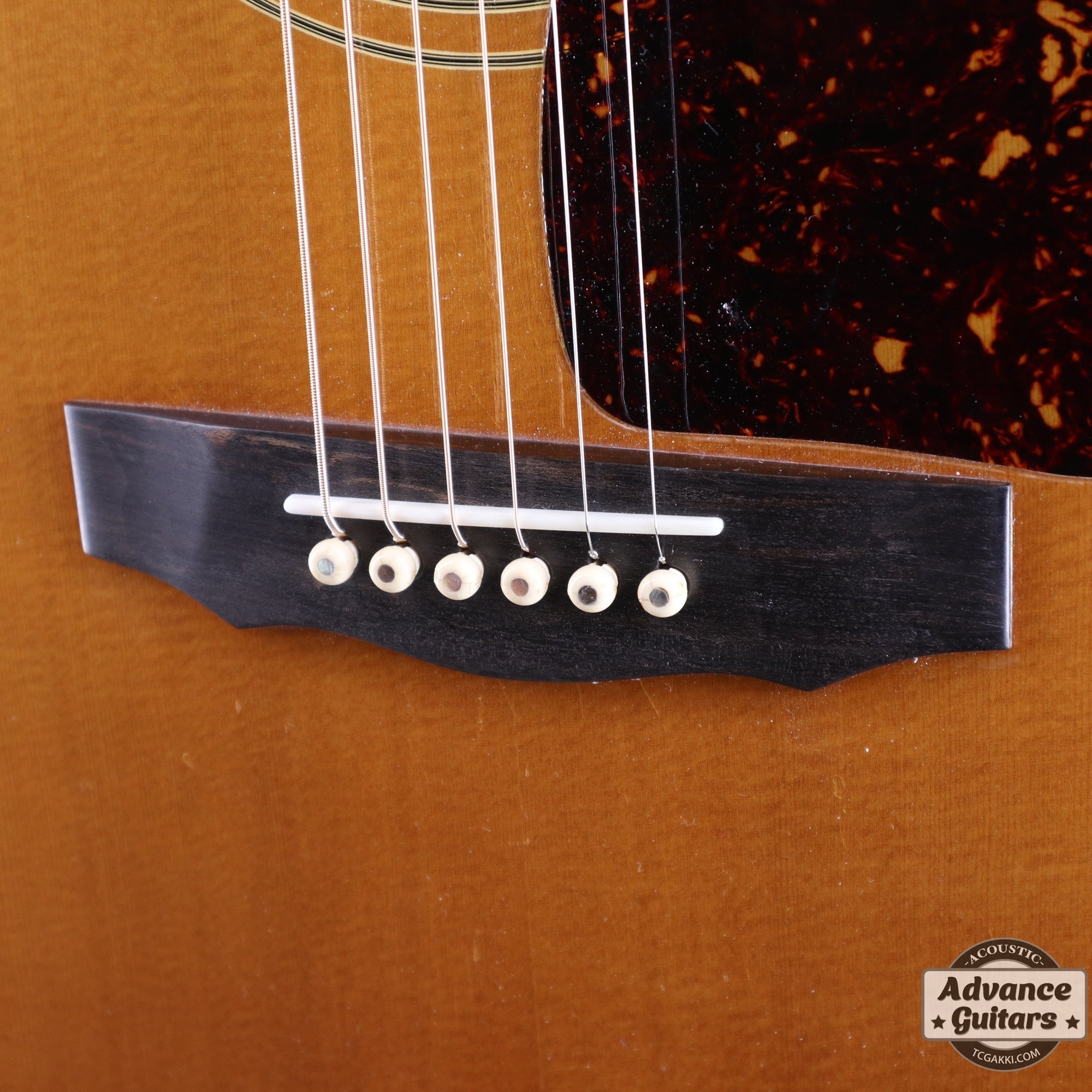 1993年製 GF - 55 NT - TC楽器 - TCGAKKI