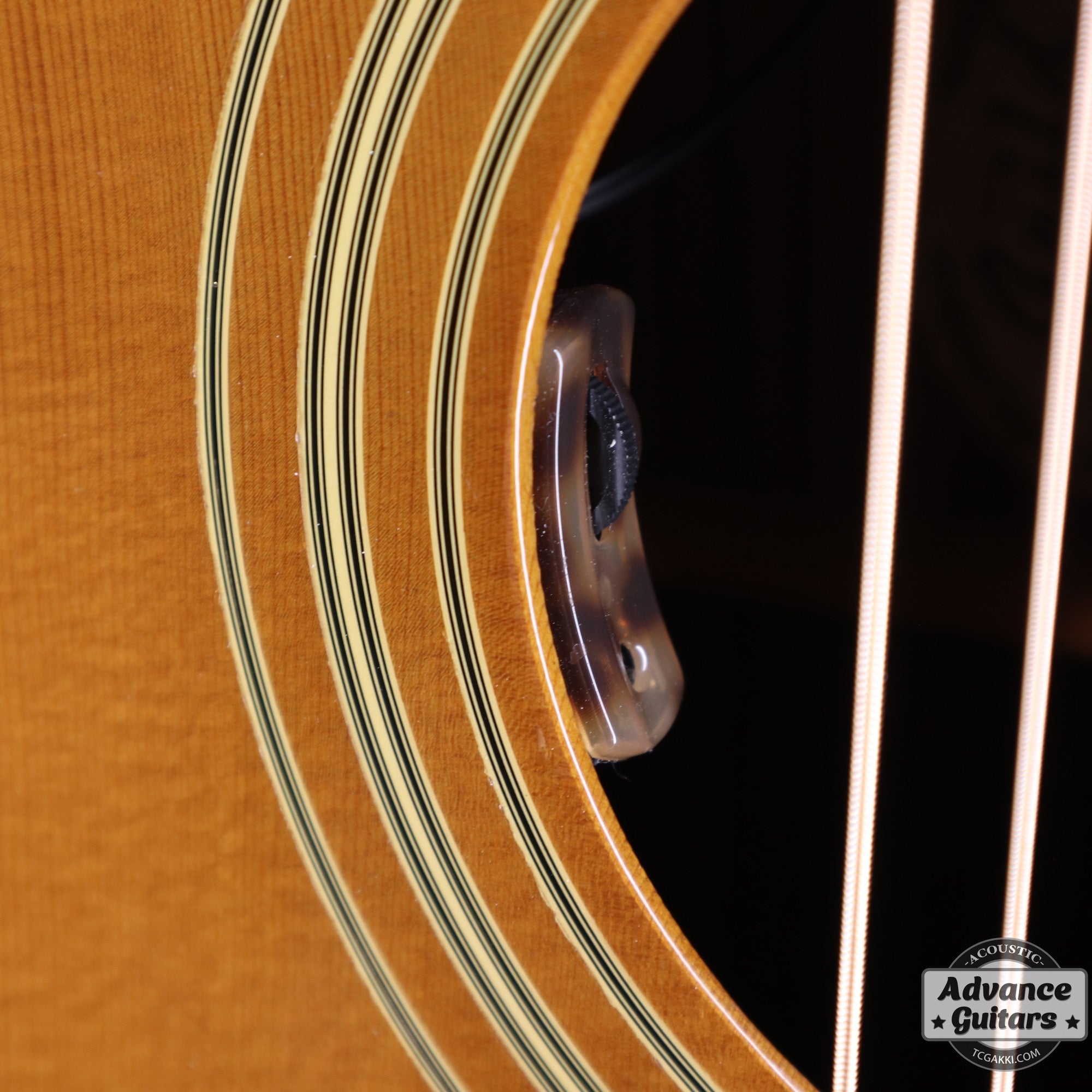 1993年製 GF - 55 NT - TC楽器 - TCGAKKI