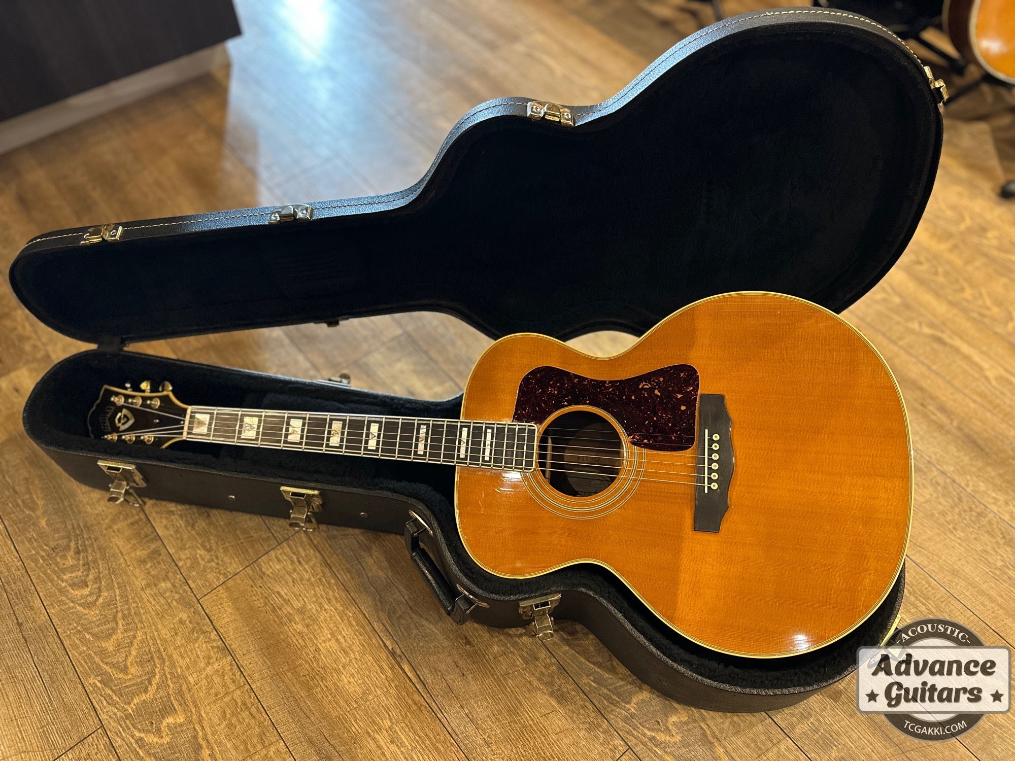 1993年製 GF - 55 NT - TC楽器 - TCGAKKI