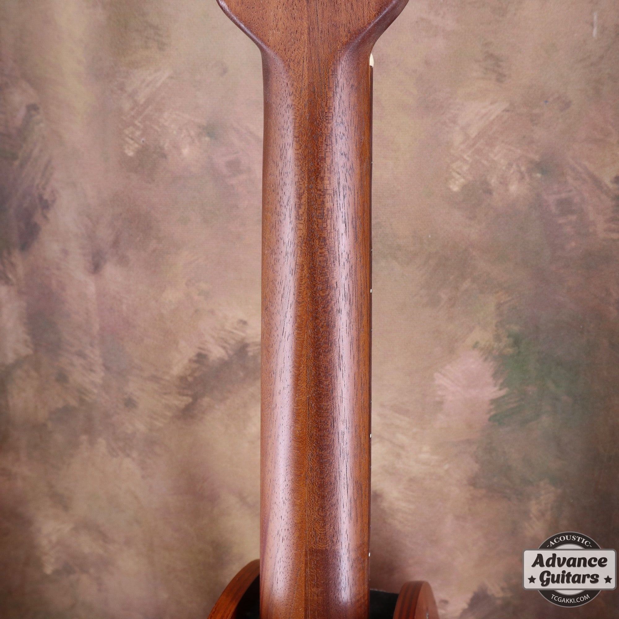 1994年製 1860 Custom Balladeer - TC楽器 - TCGAKKI
