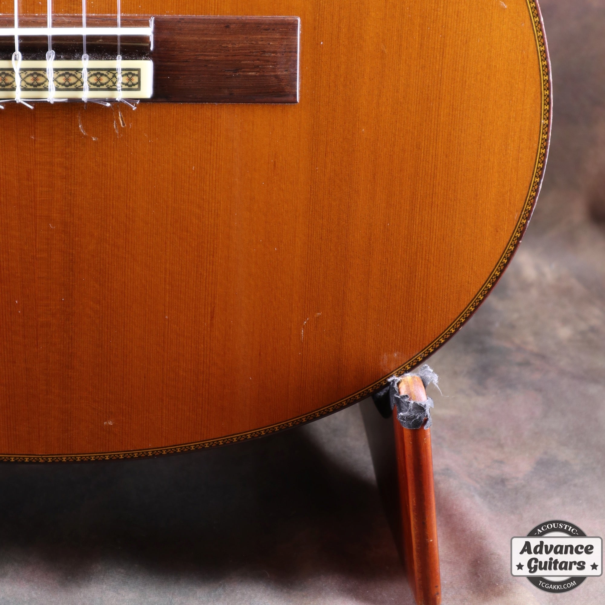 1995年製 GC - 40C - TC楽器 - TCGAKKI