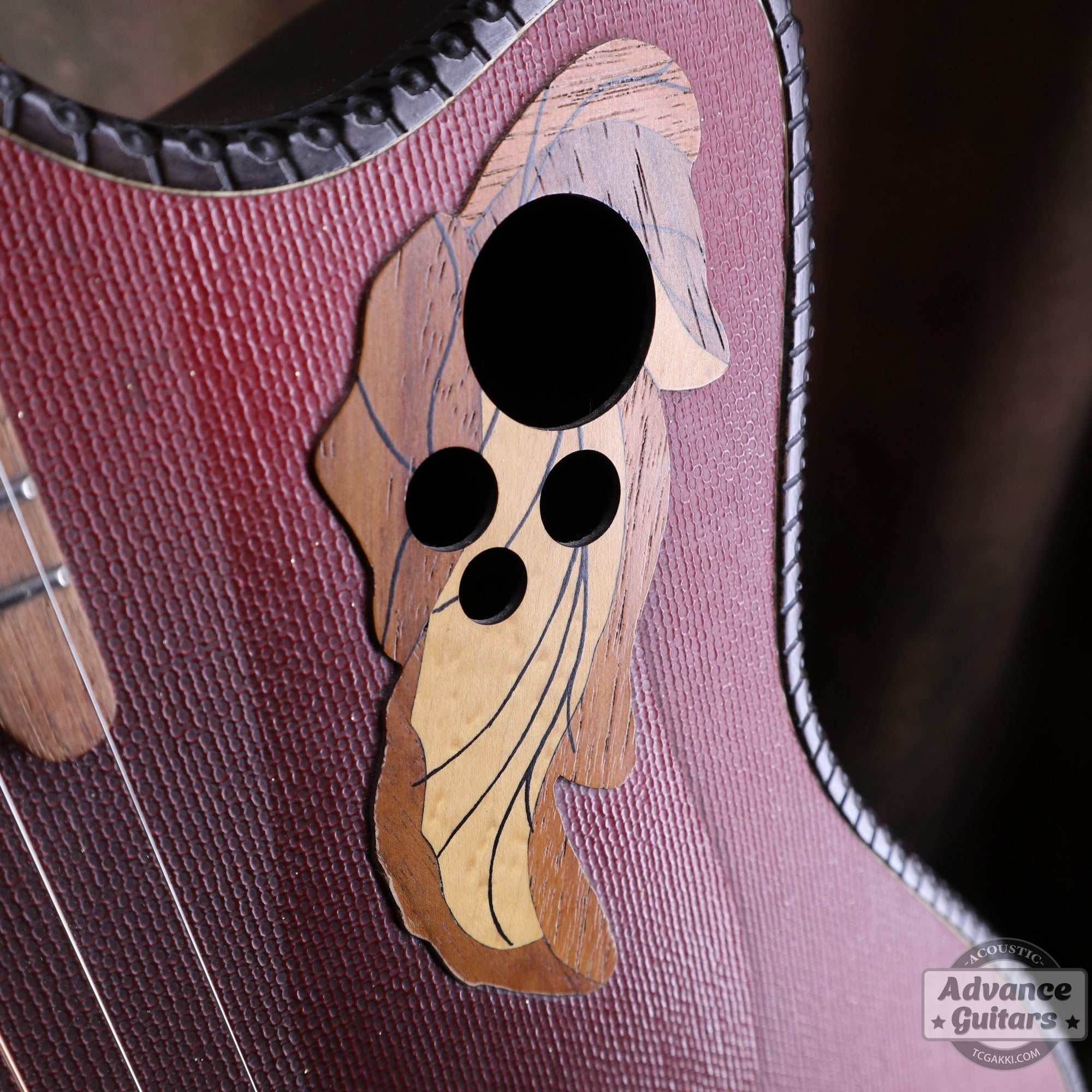 1997年製 Super Adamas 1587 - 2 - TC楽器 - TCGAKKI