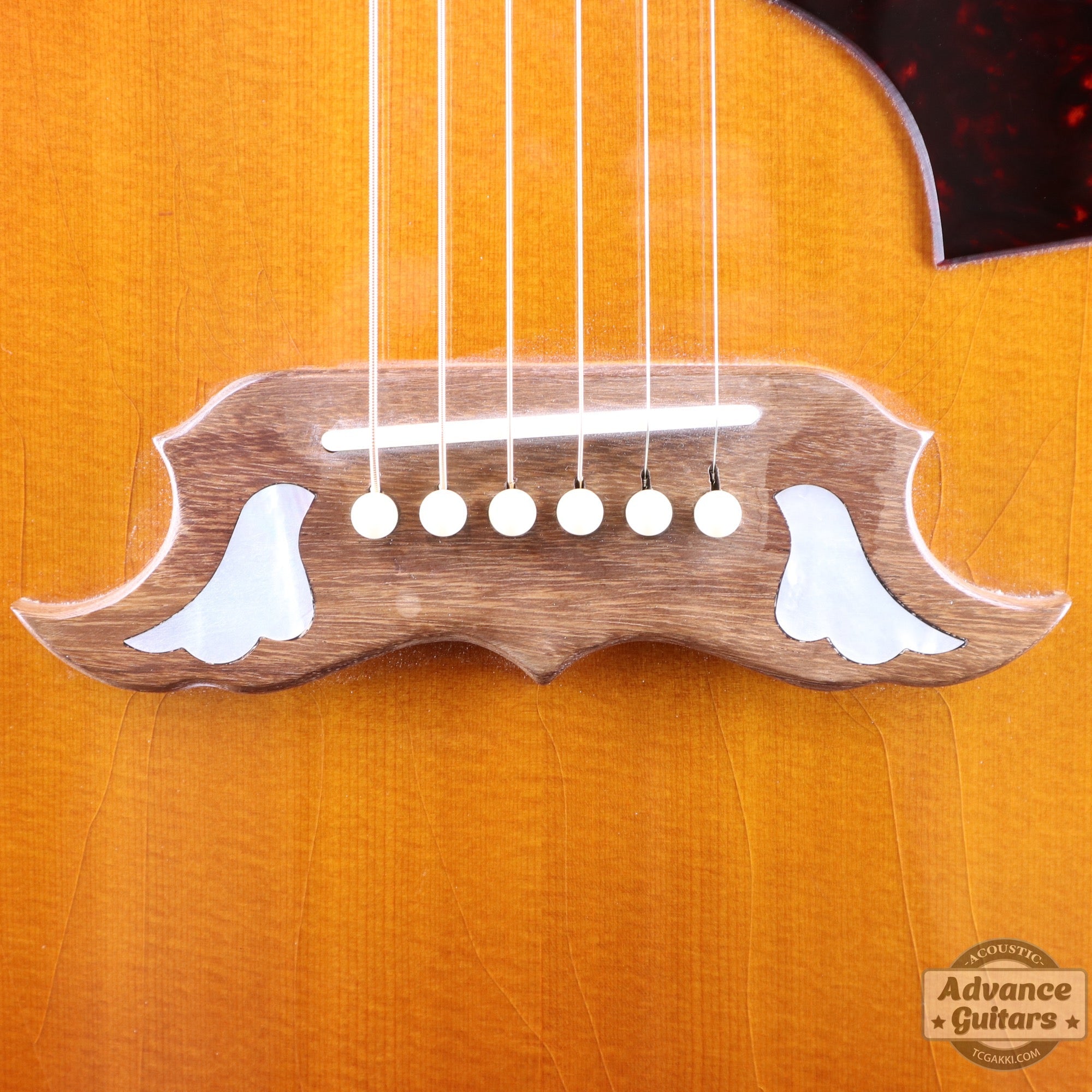 1998年製 60's DOVE