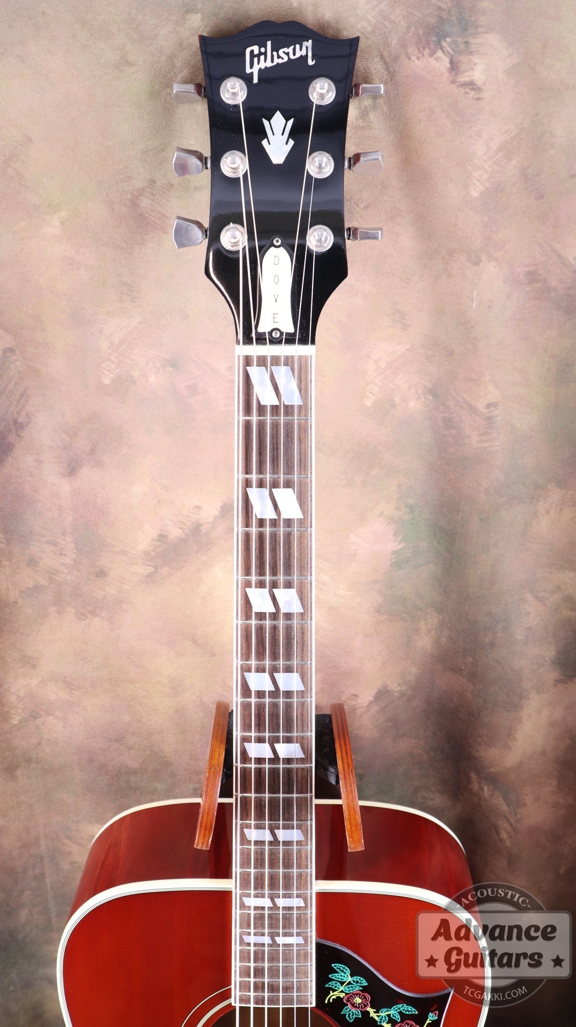 1998年製 60’s DOVE - TC楽器 - TCGAKKI