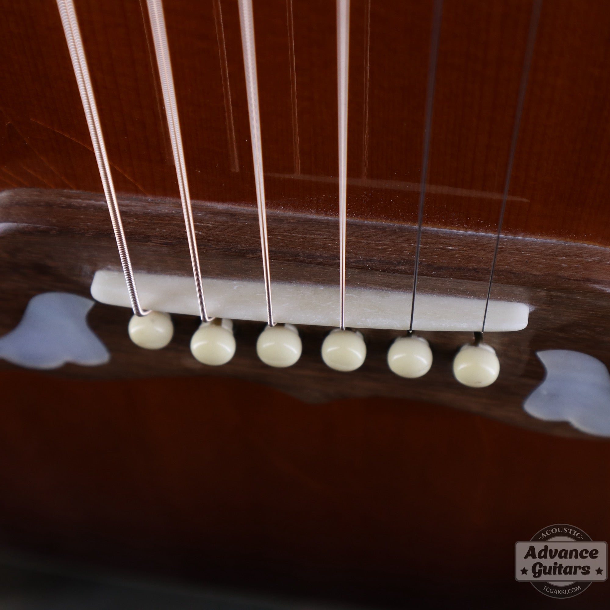 1998年製 60’s DOVE - TC楽器 - TCGAKKI