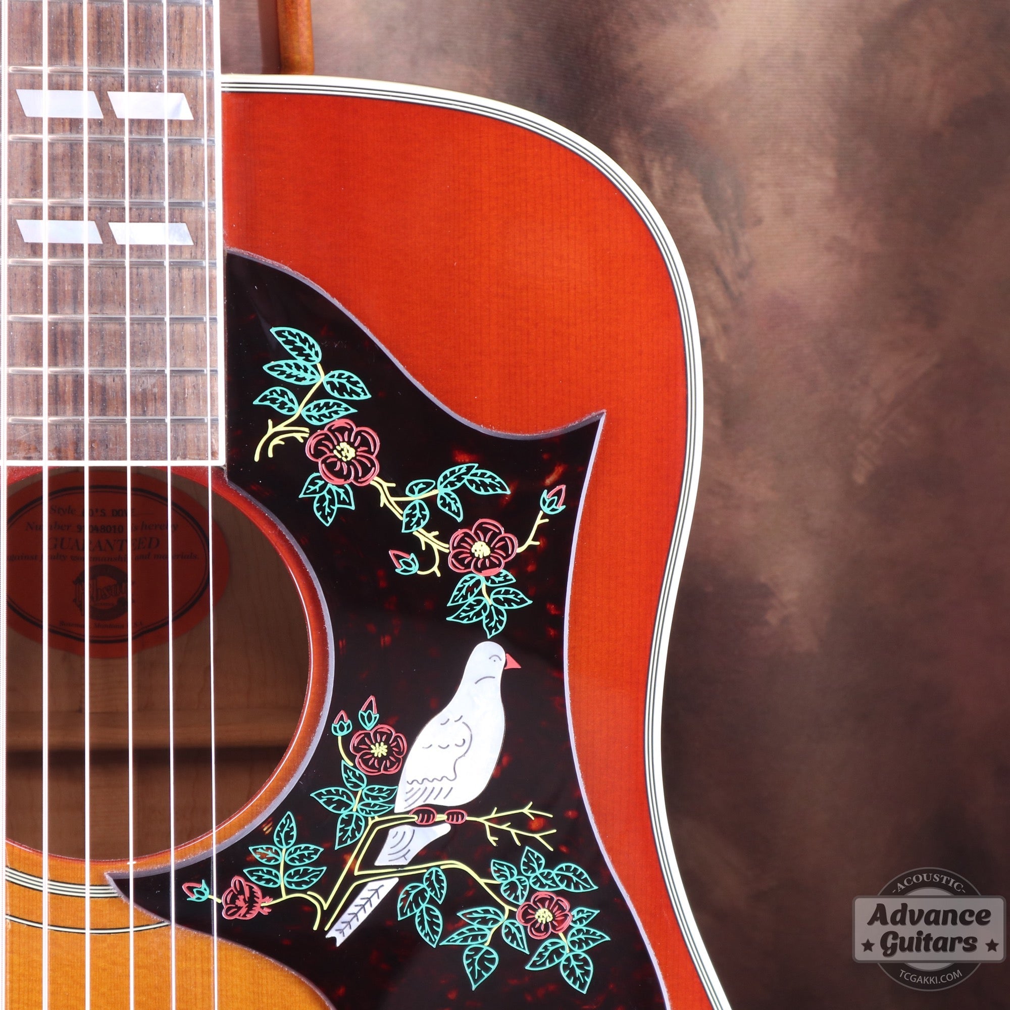 1998年製 60’s DOVE - TC楽器 - TCGAKKI