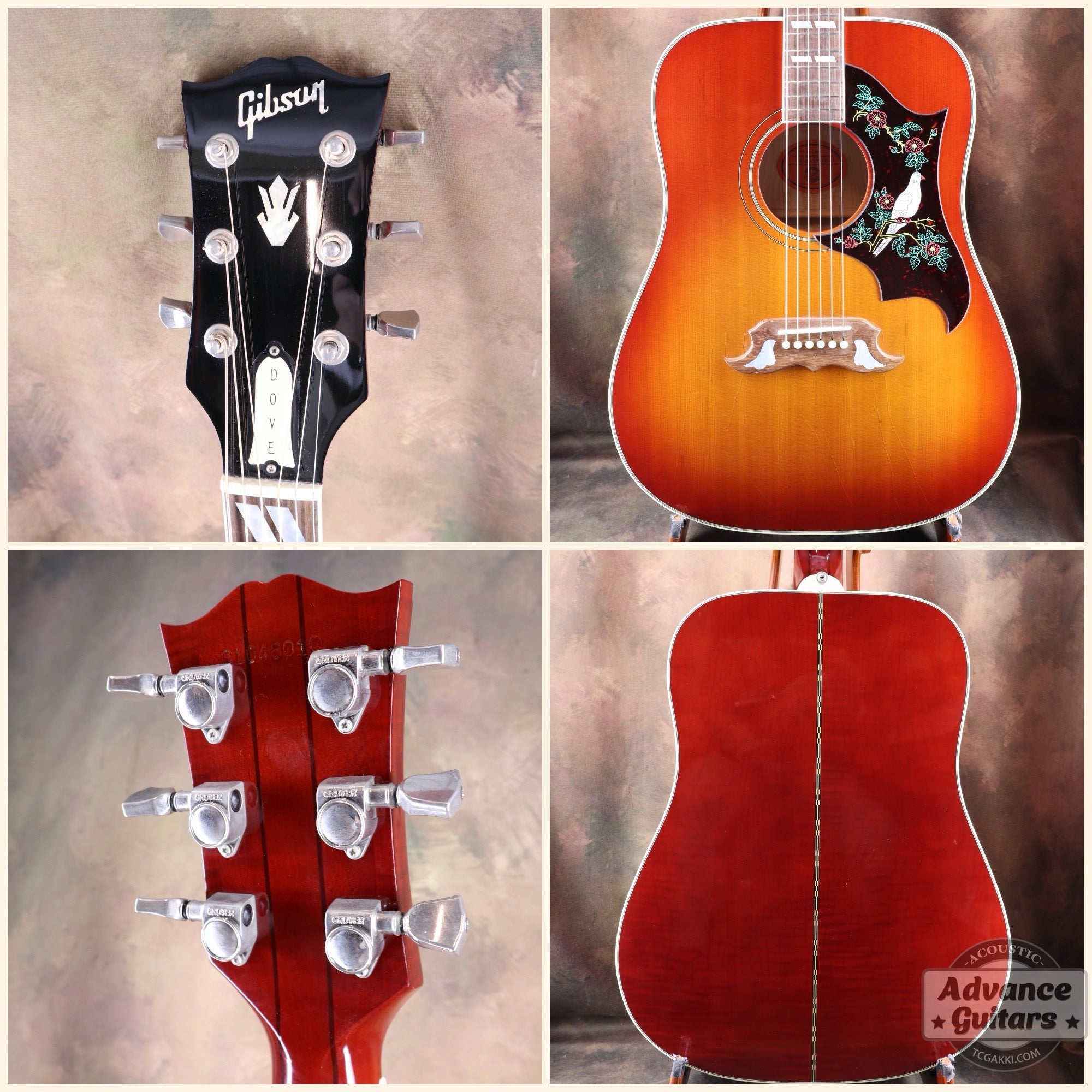 1998年製 60's DOVE