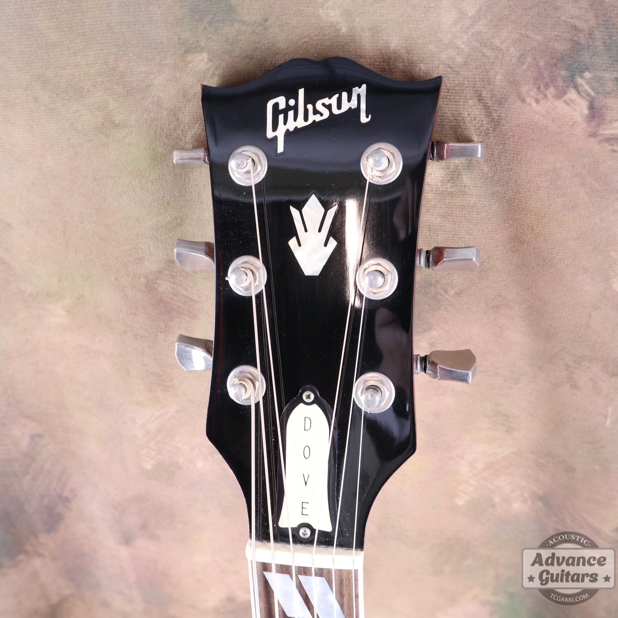 1998年製 60’s DOVE - TC楽器 - TCGAKKI