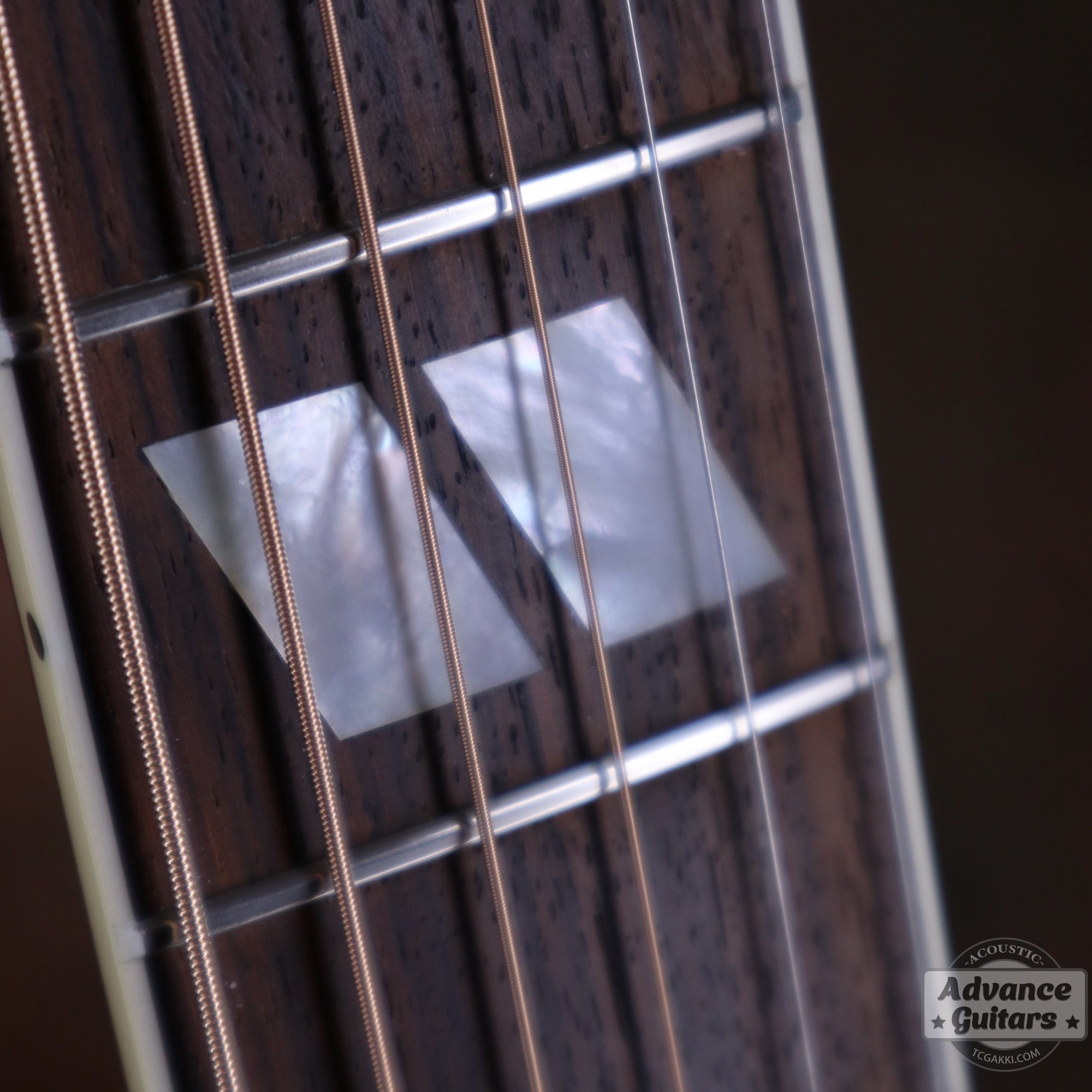 1998年製 60’s DOVE - TC楽器 - TCGAKKI