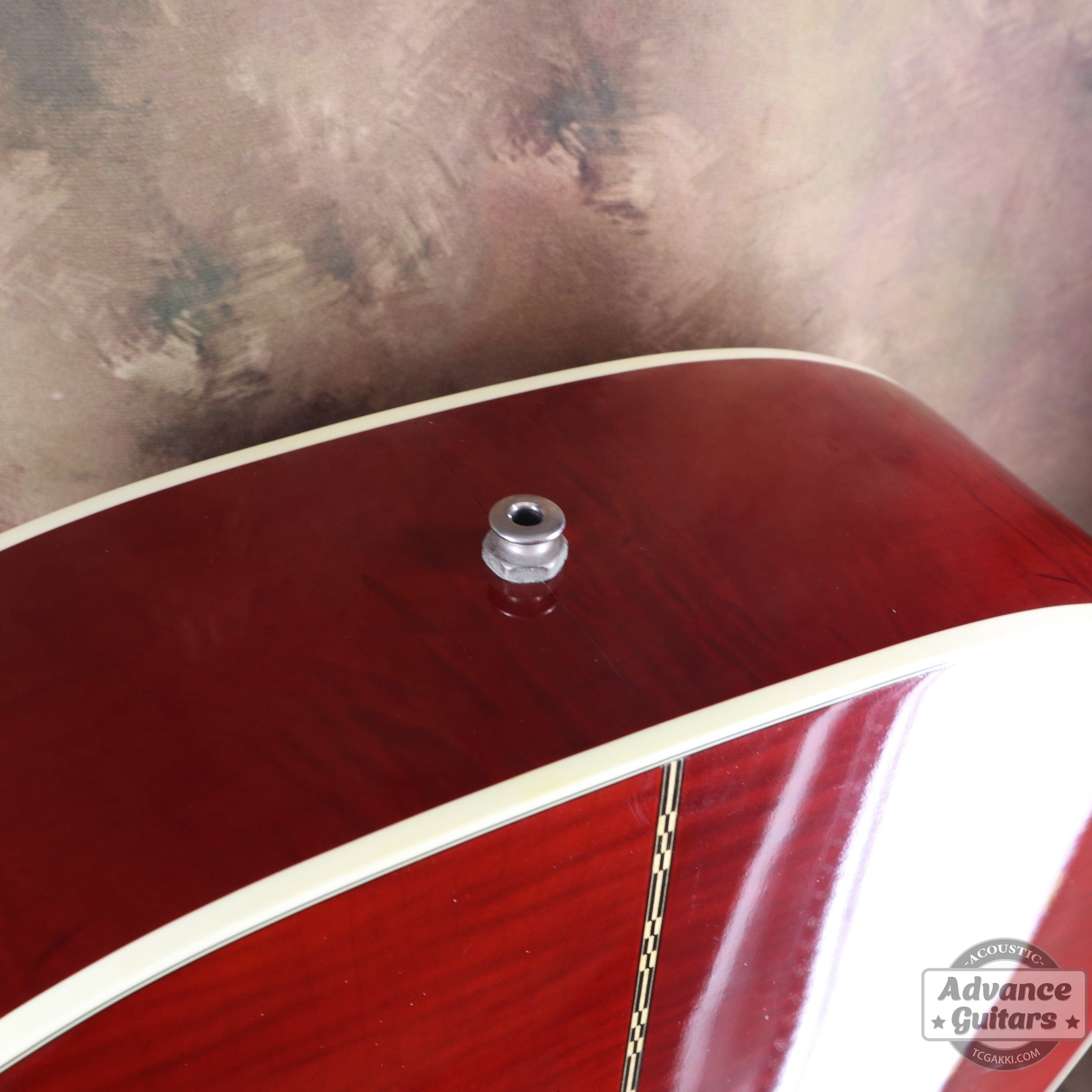 1998年製 60’s DOVE - TC楽器 - TCGAKKI