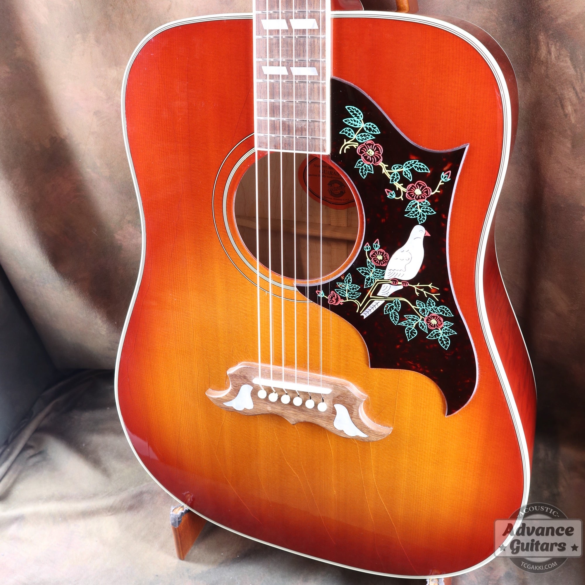 1998年製 60’s DOVE - TC楽器 - TCGAKKI