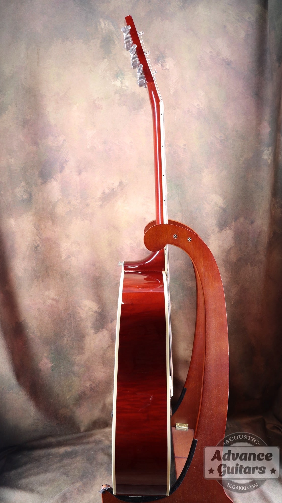 1998年製 60’s DOVE - TC楽器 - TCGAKKI