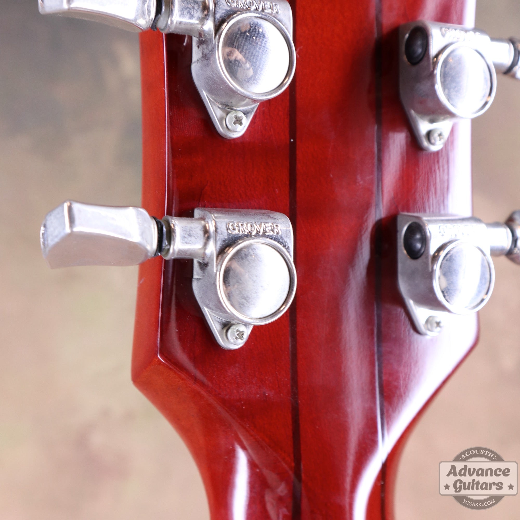 1998年製 60’s DOVE - TC楽器 - TCGAKKI