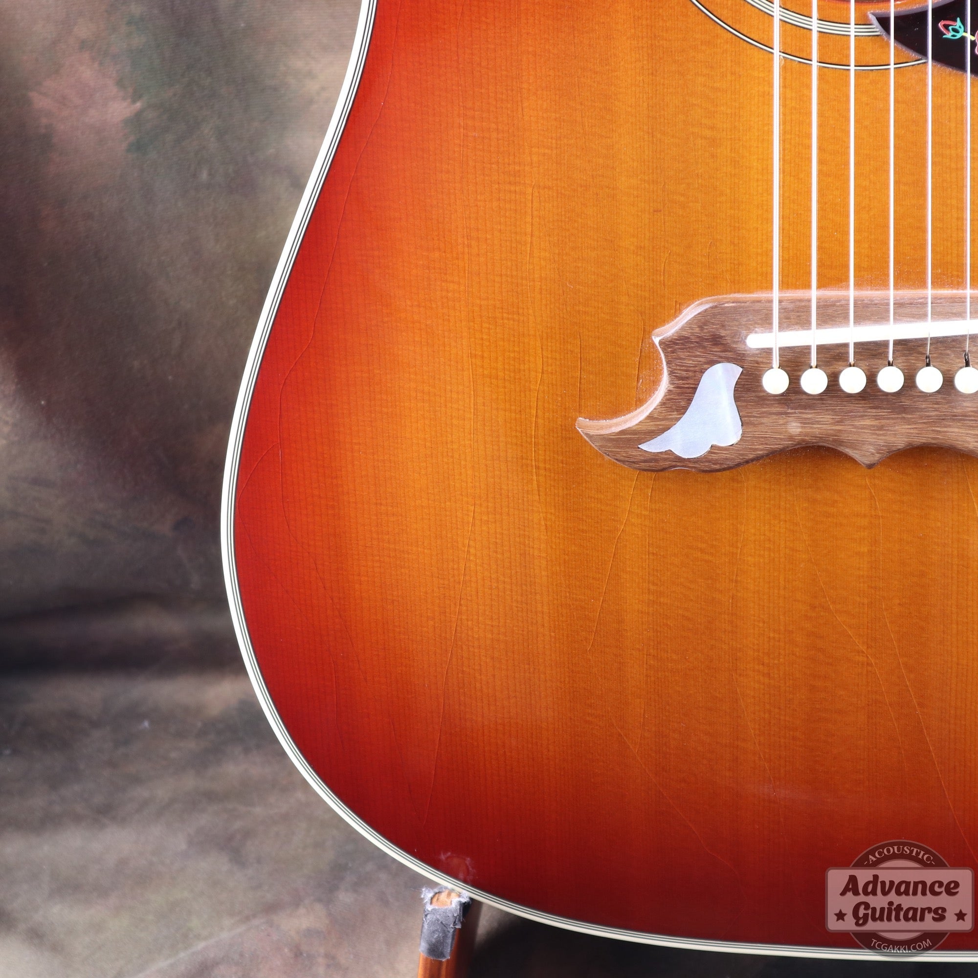 1998年製 60’s DOVE - TC楽器 - TCGAKKI