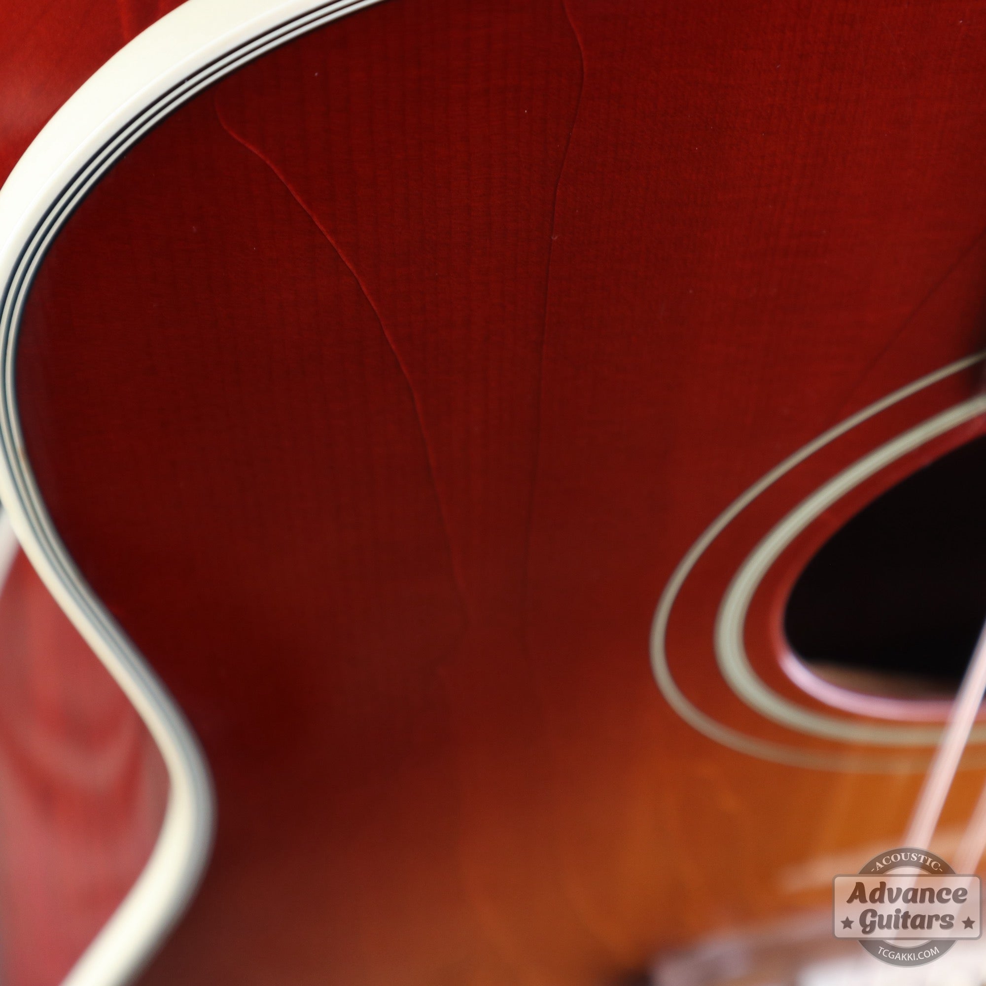 1998年製 60’s DOVE - TC楽器 - TCGAKKI