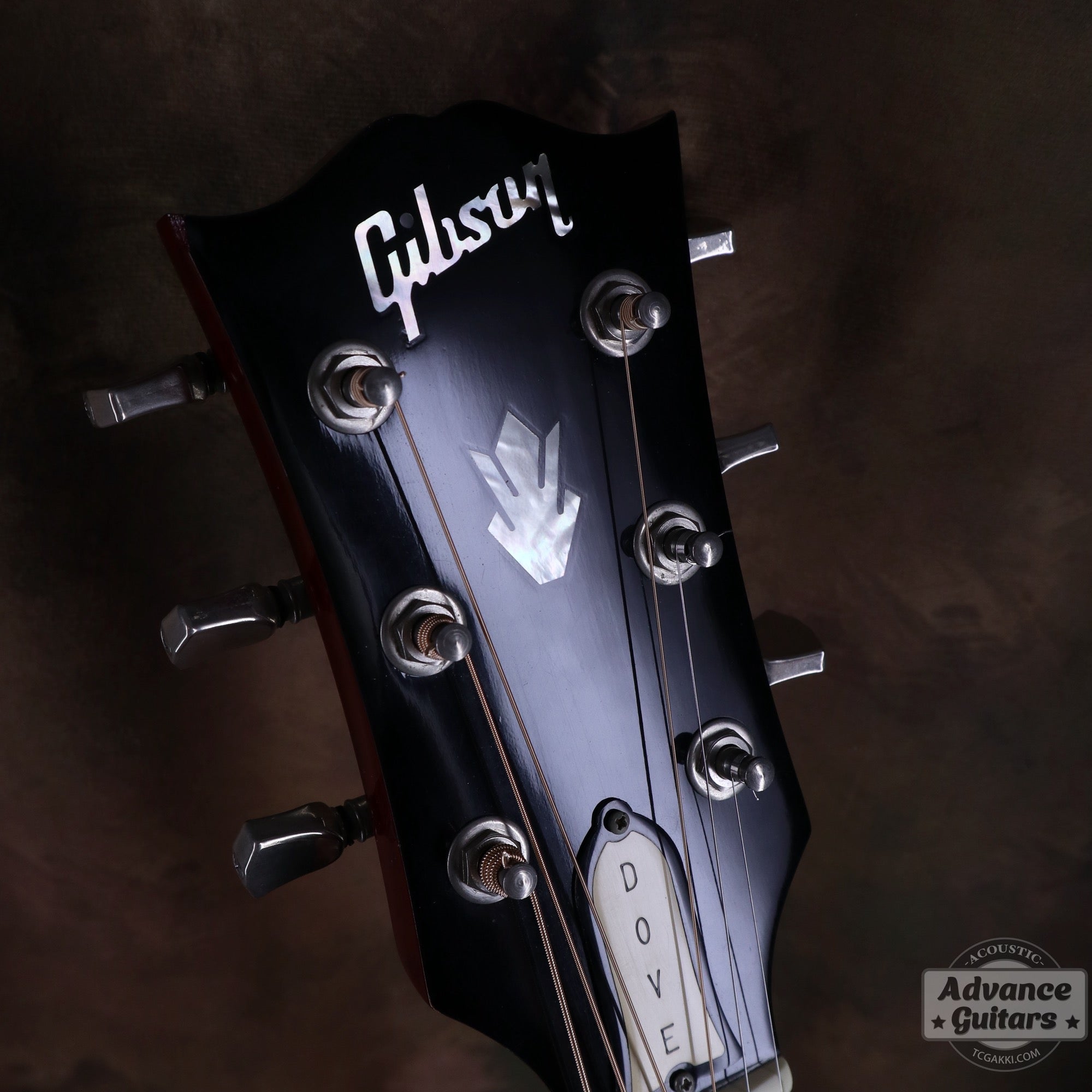 1998年製 60’s DOVE - TC楽器 - TCGAKKI