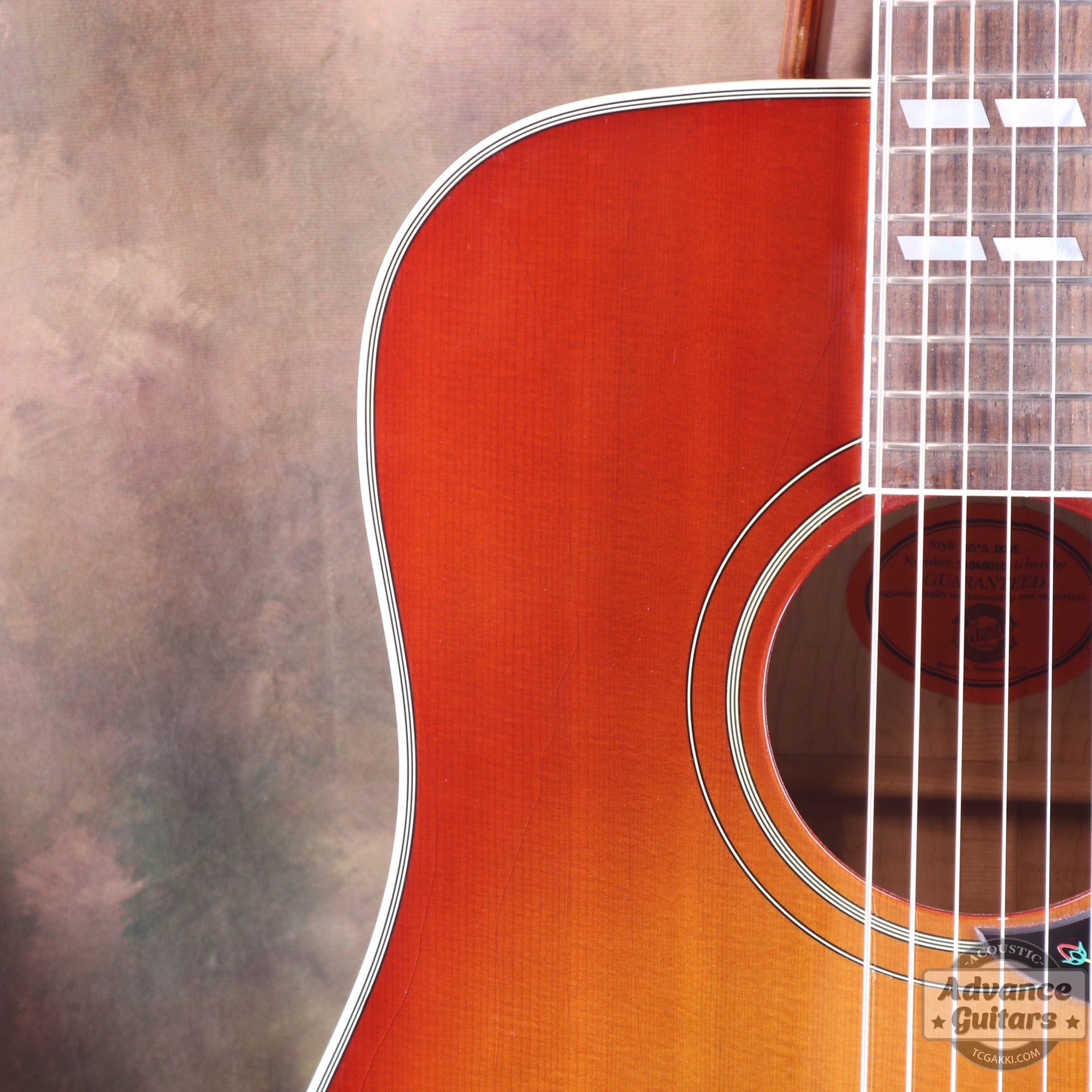 1998年製 60’s DOVE - TC楽器 - TCGAKKI