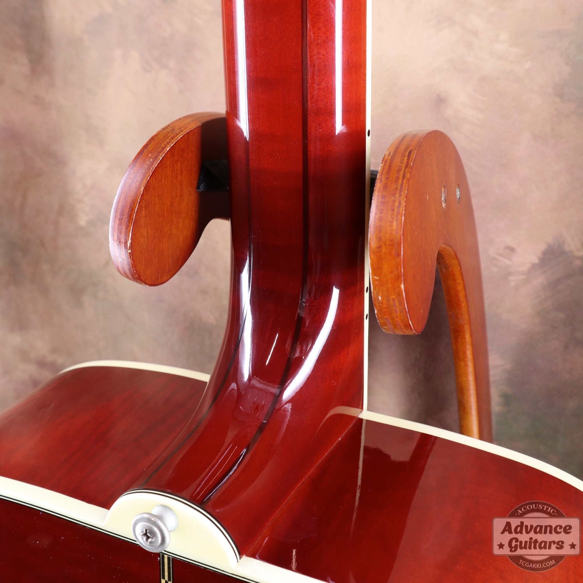 1998年製 60’s DOVE - TC楽器 - TCGAKKI