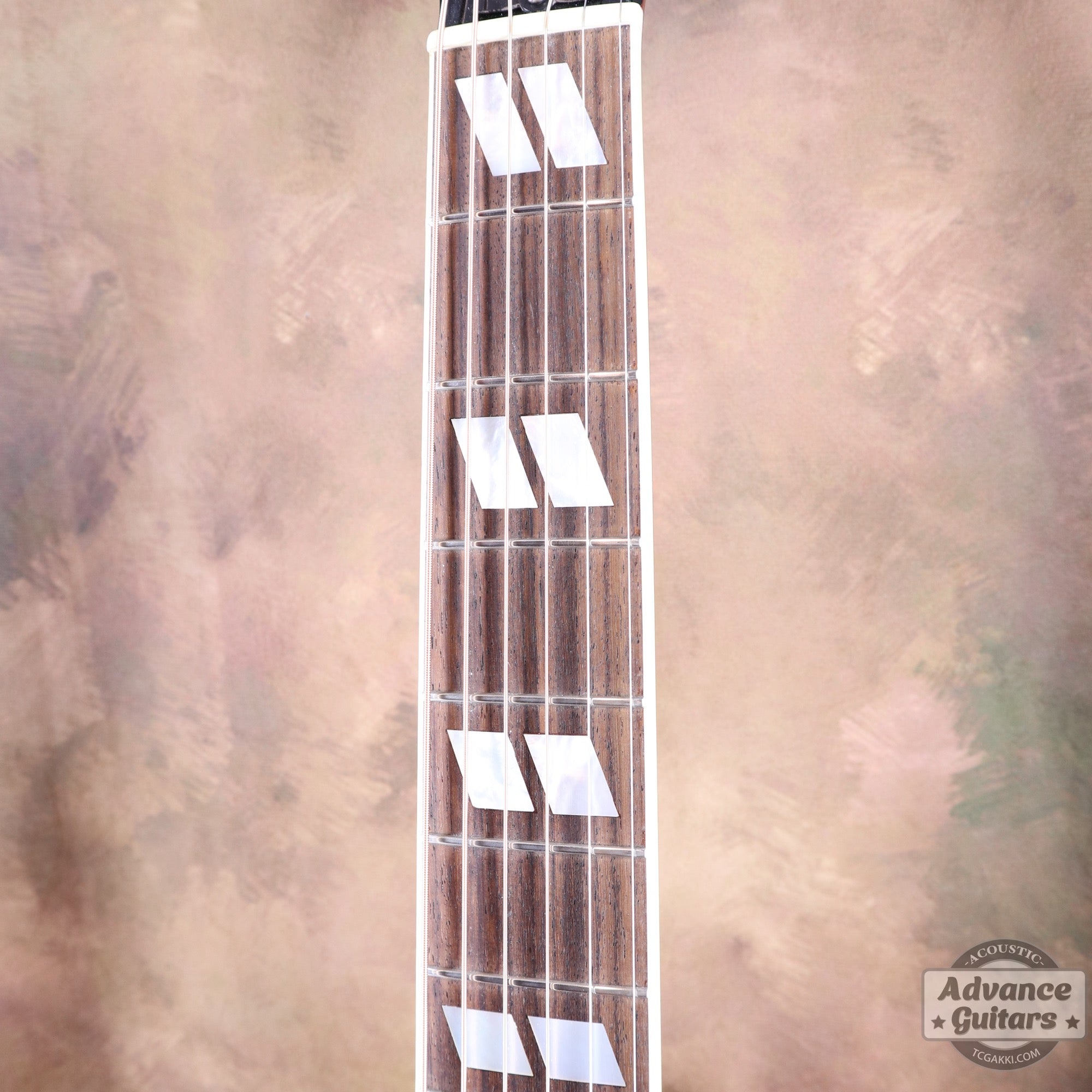 1998年製 60’s DOVE - TC楽器 - TCGAKKI