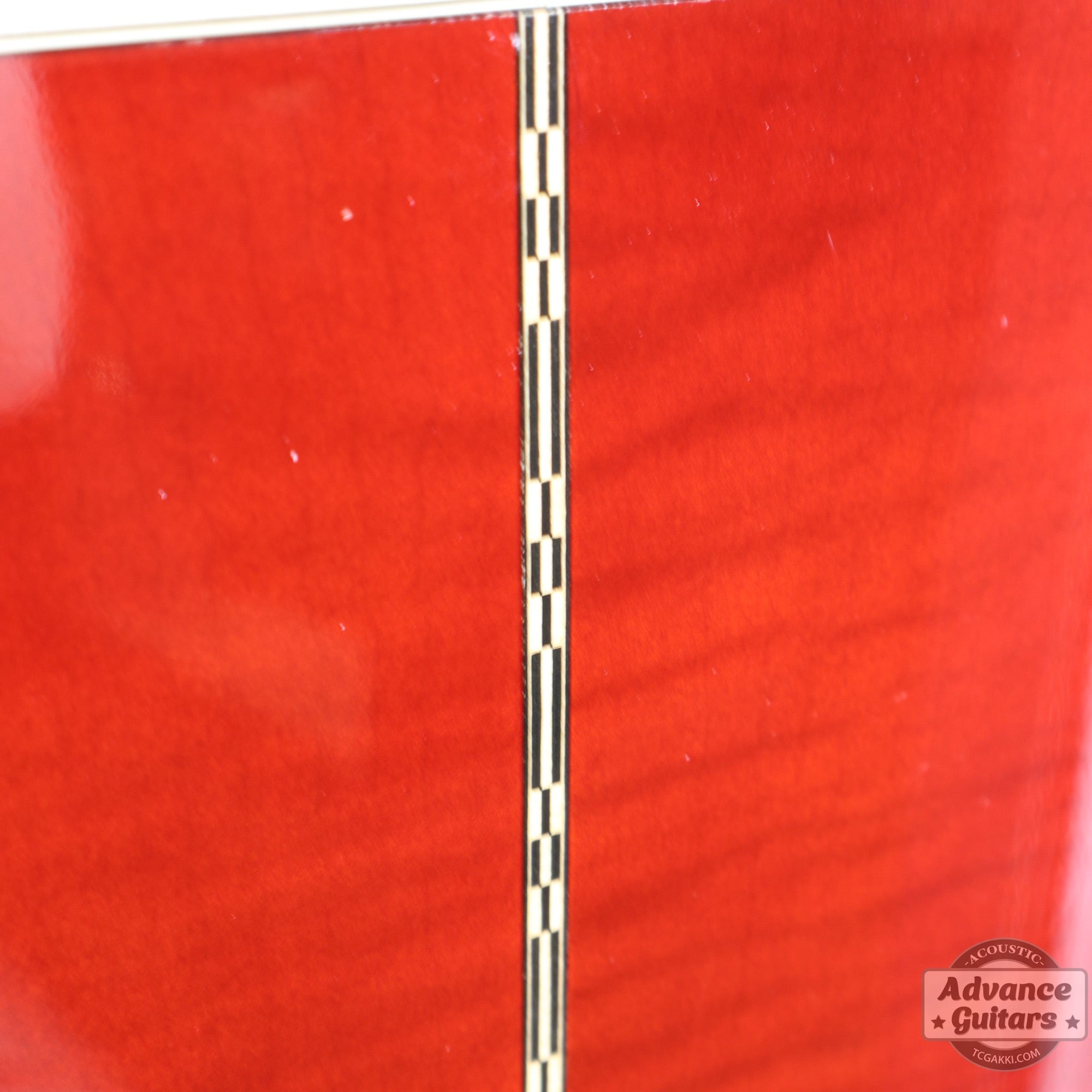 1998年製 60’s DOVE - TC楽器 - TCGAKKI