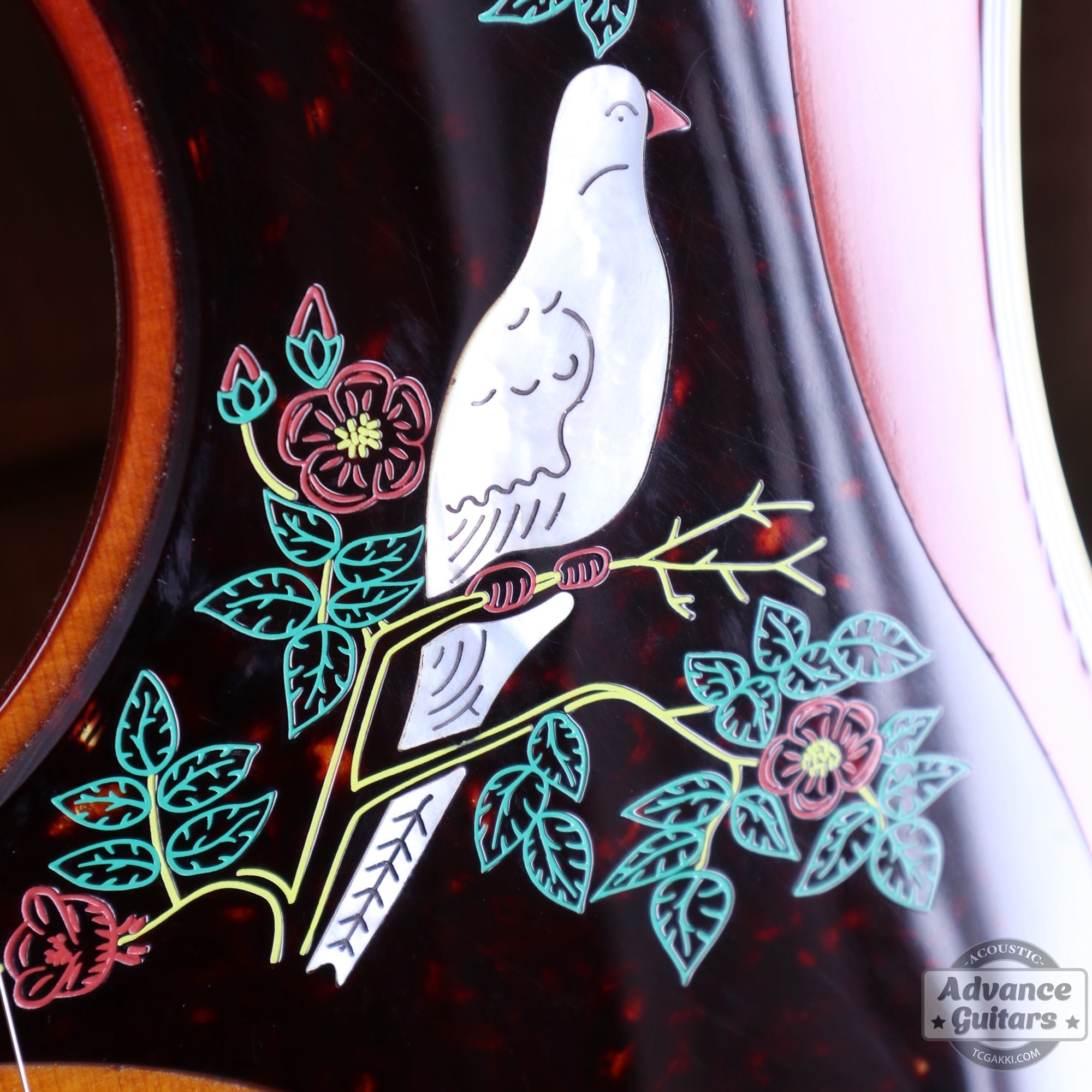 1998 model 60's DOVE