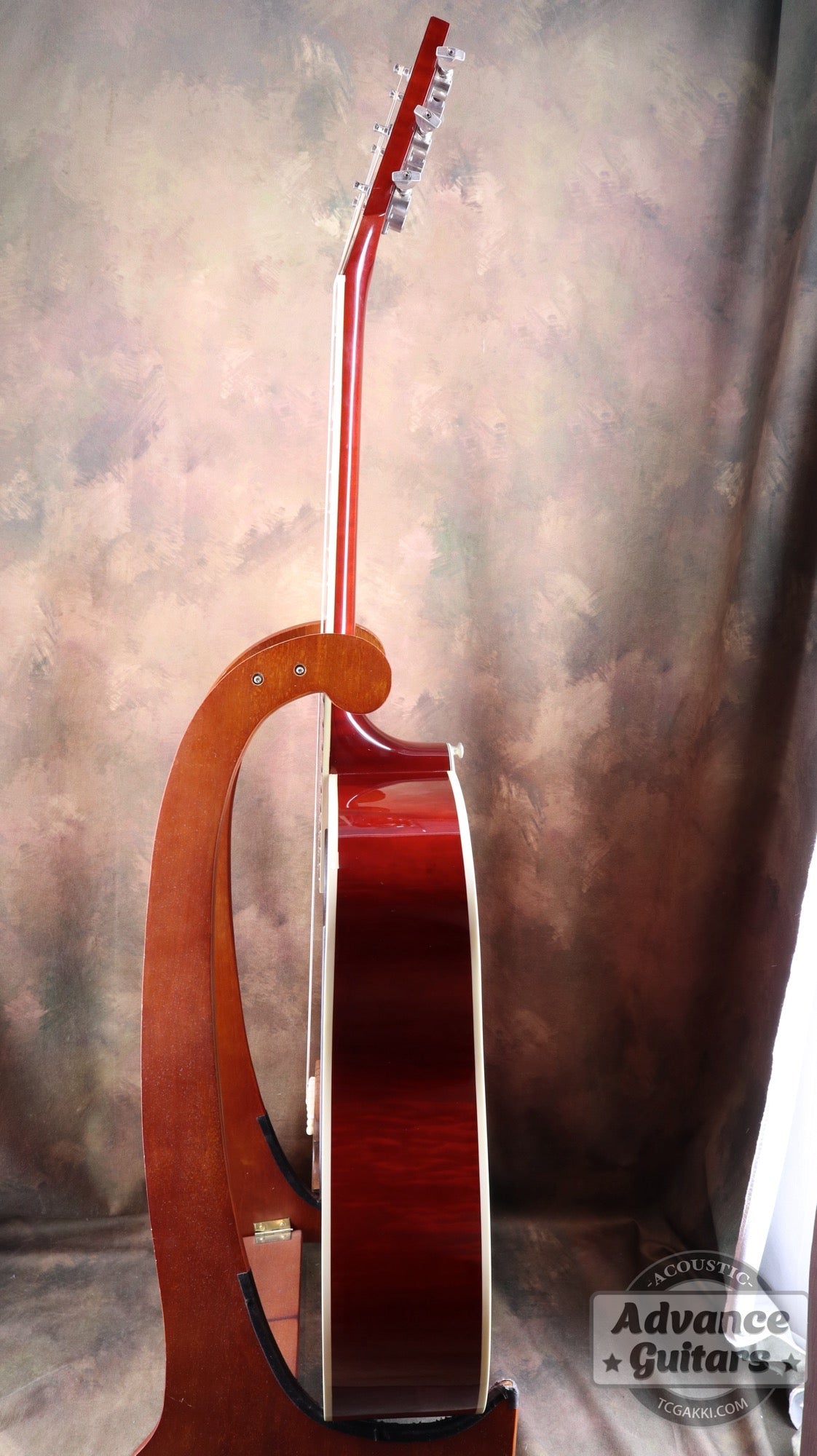 1998年製 60’s DOVE - TC楽器 - TCGAKKI