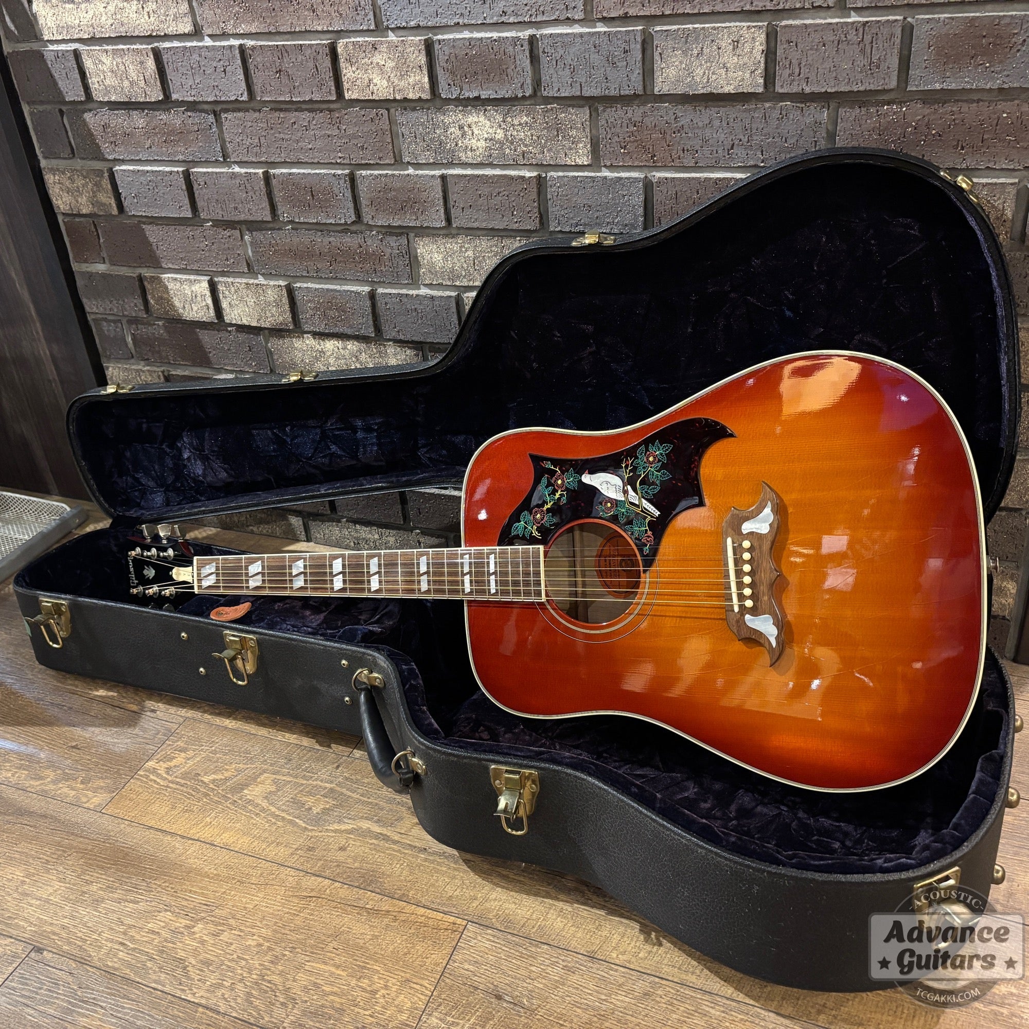 1998年製 60’s DOVE - TC楽器 - TCGAKKI