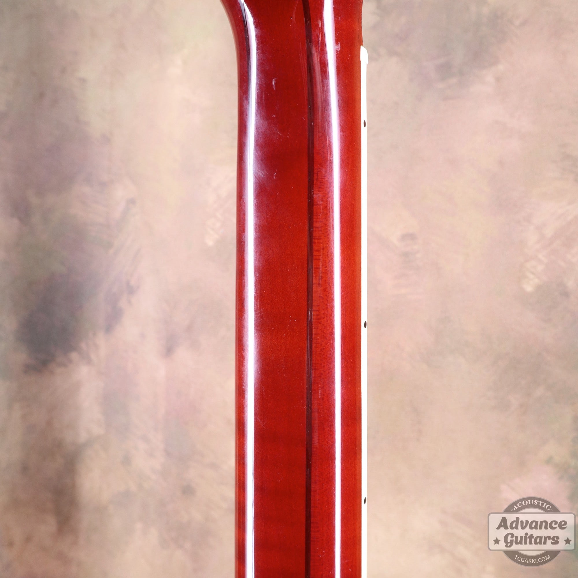 1998年製 60’s DOVE - TC楽器 - TCGAKKI