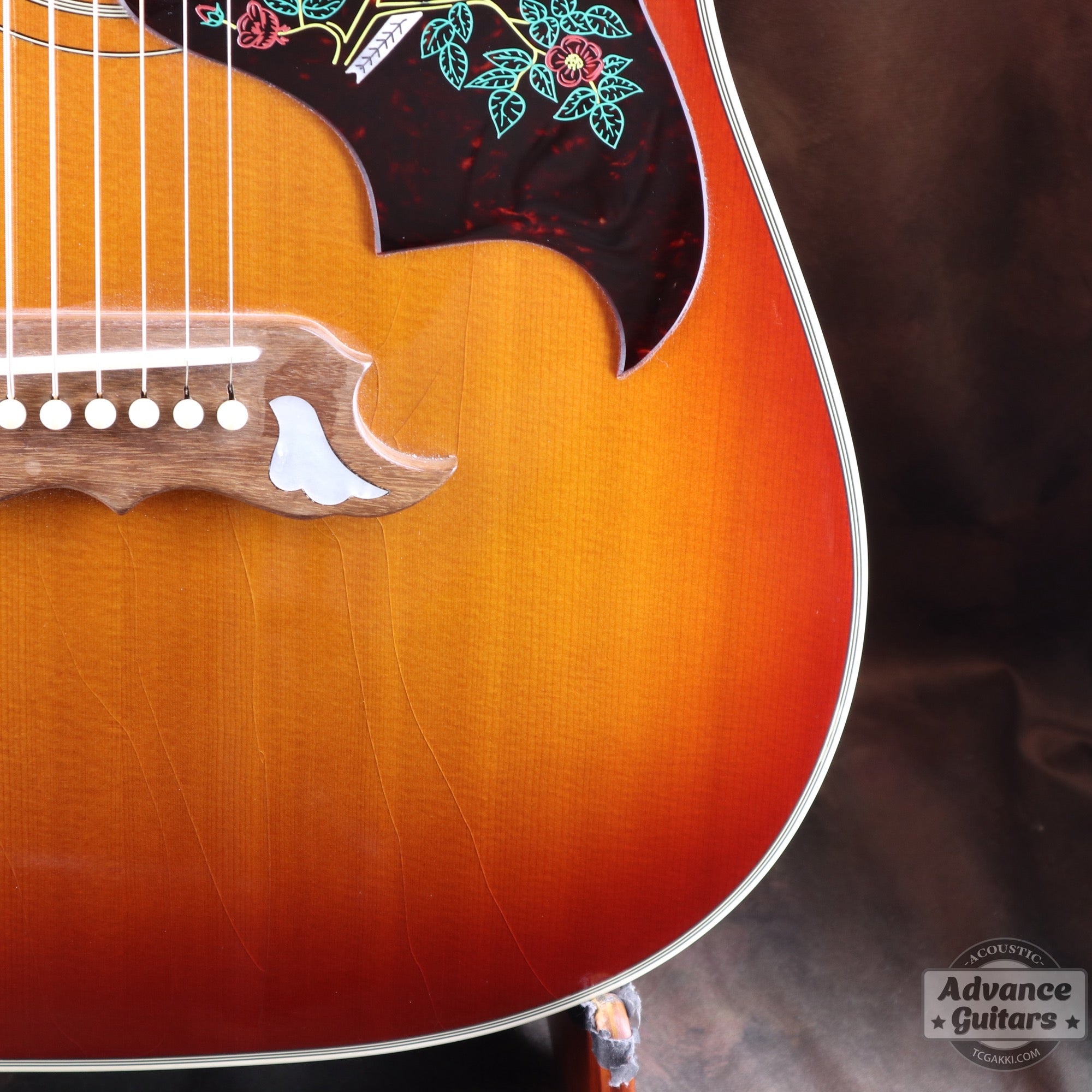 1998年製 60’s DOVE - TC楽器 - TCGAKKI