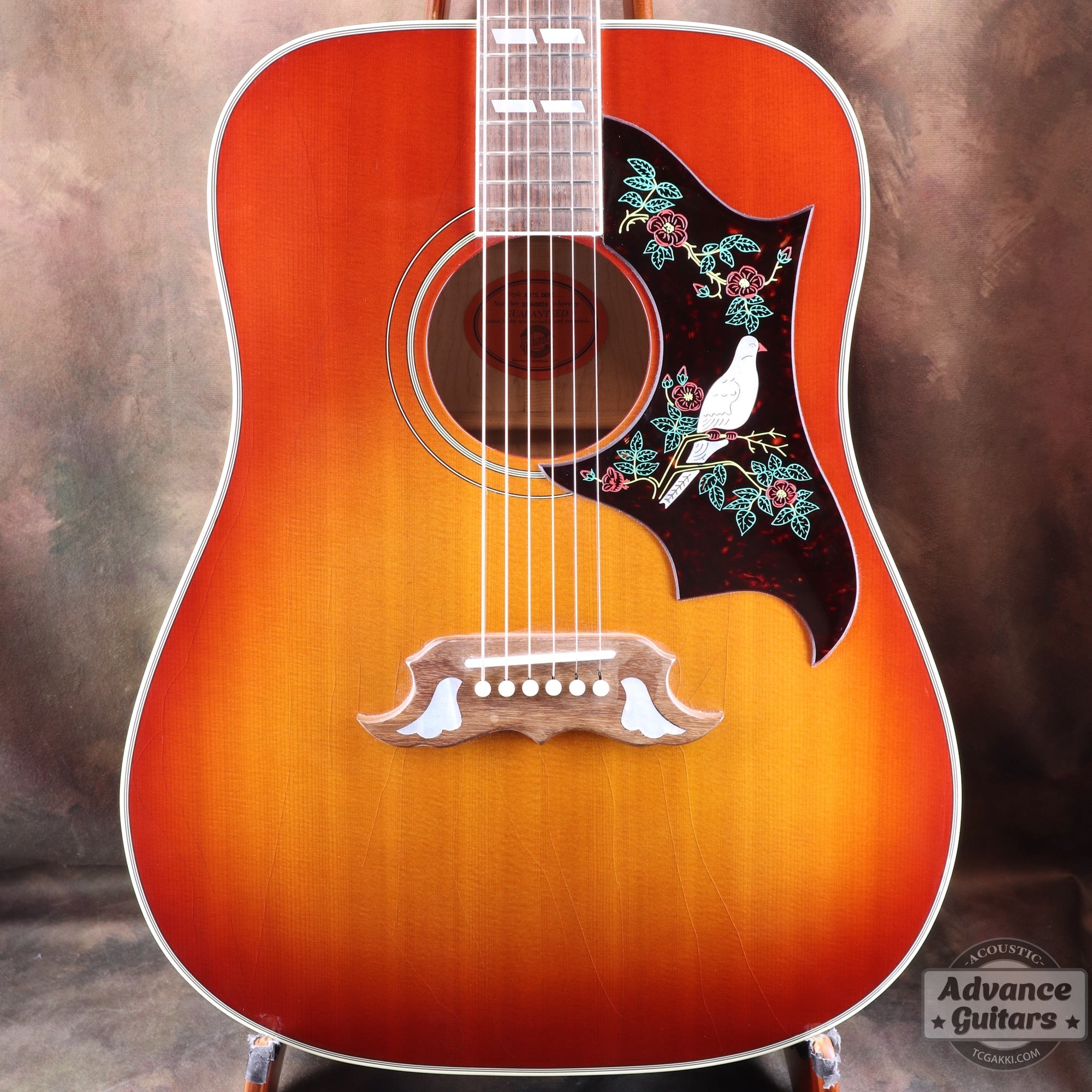 1998年製 60’s DOVE - TC楽器 - TCGAKKI