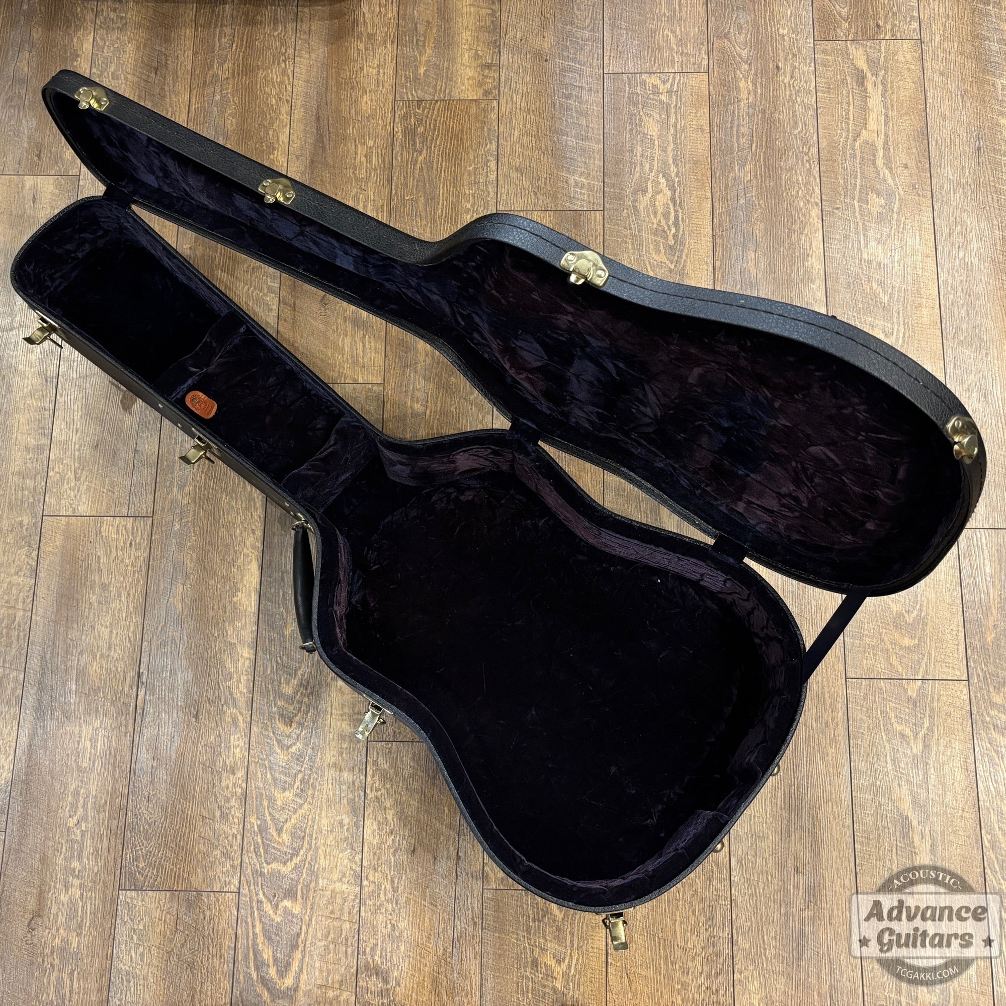 1998年製 60’s DOVE - TC楽器 - TCGAKKI