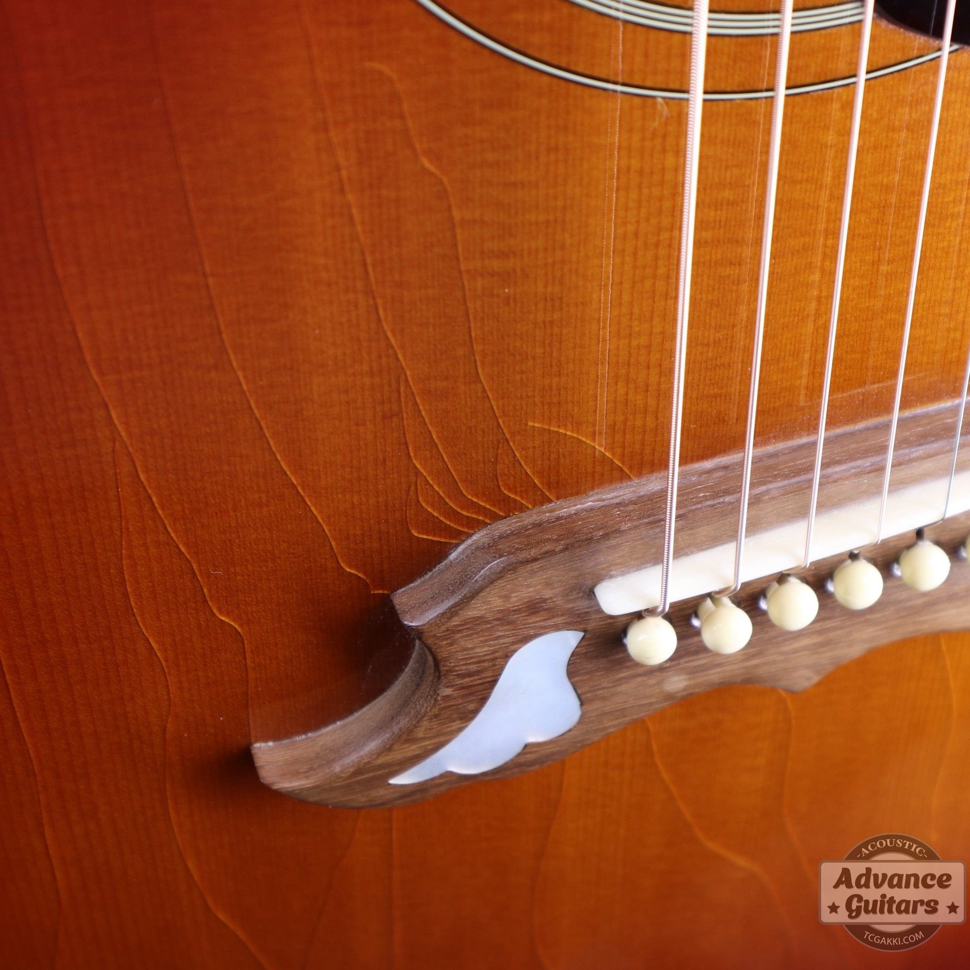 1998年製 60’s DOVE - TC楽器 - TCGAKKI