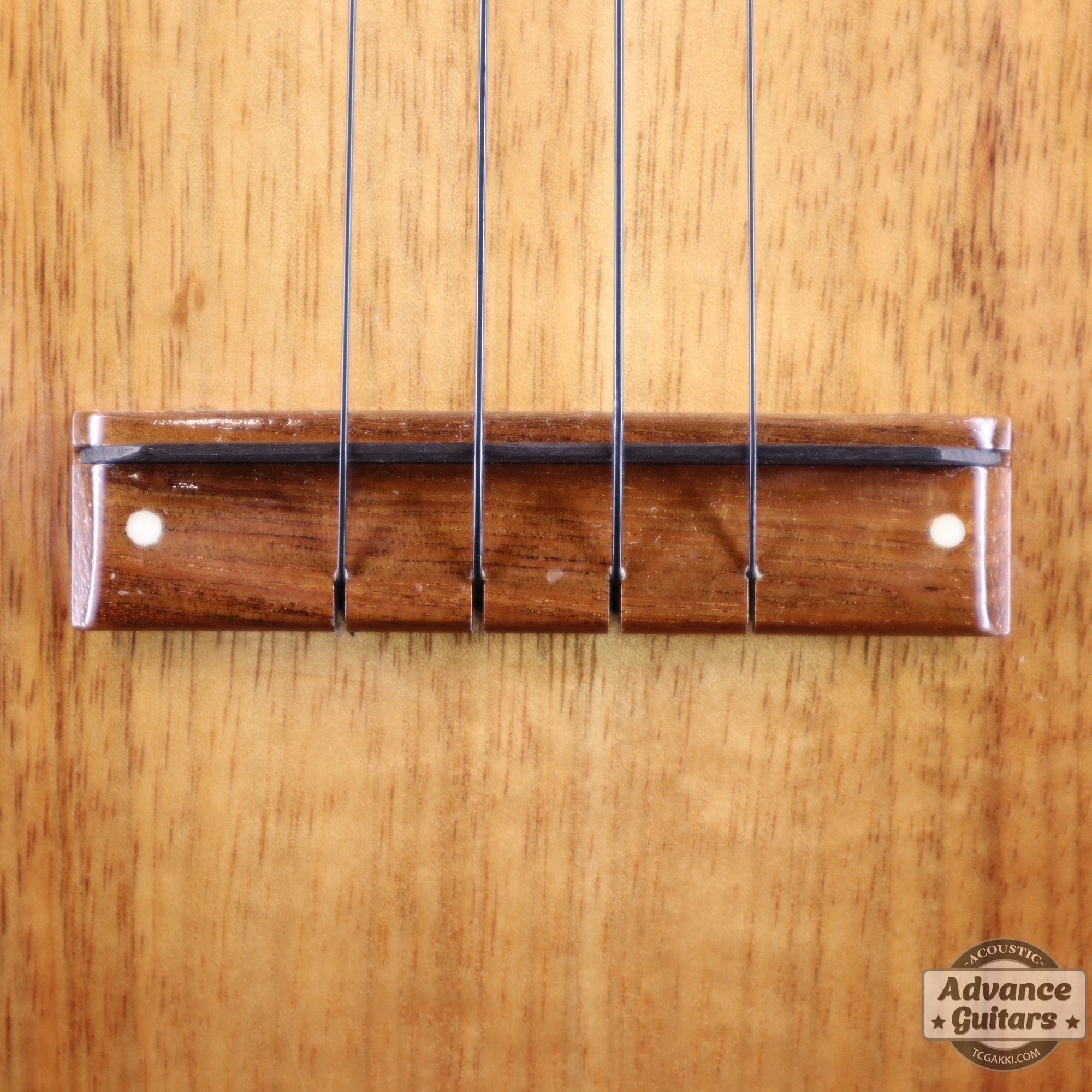 1998年製 Concert Ukulele - TC楽器 - TCGAKKI