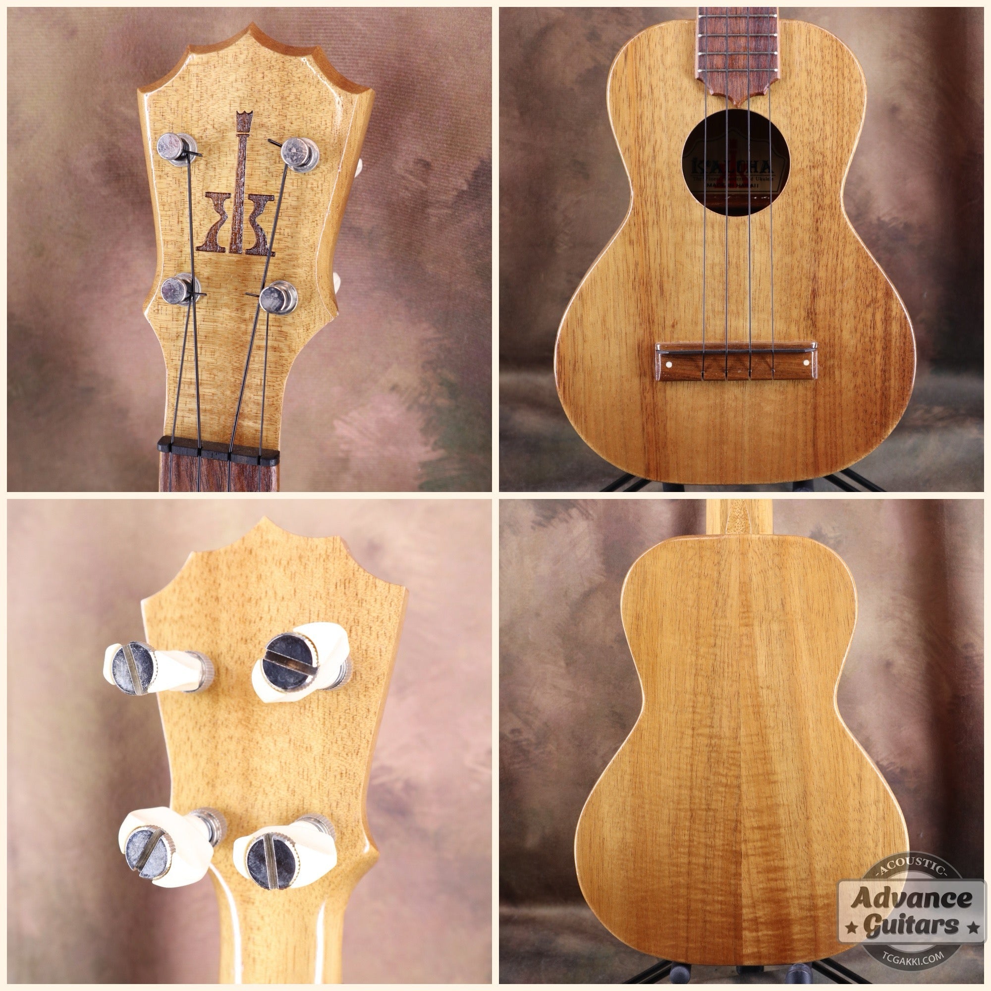 1998年製 Concert Ukulele - TC楽器 - TCGAKKI