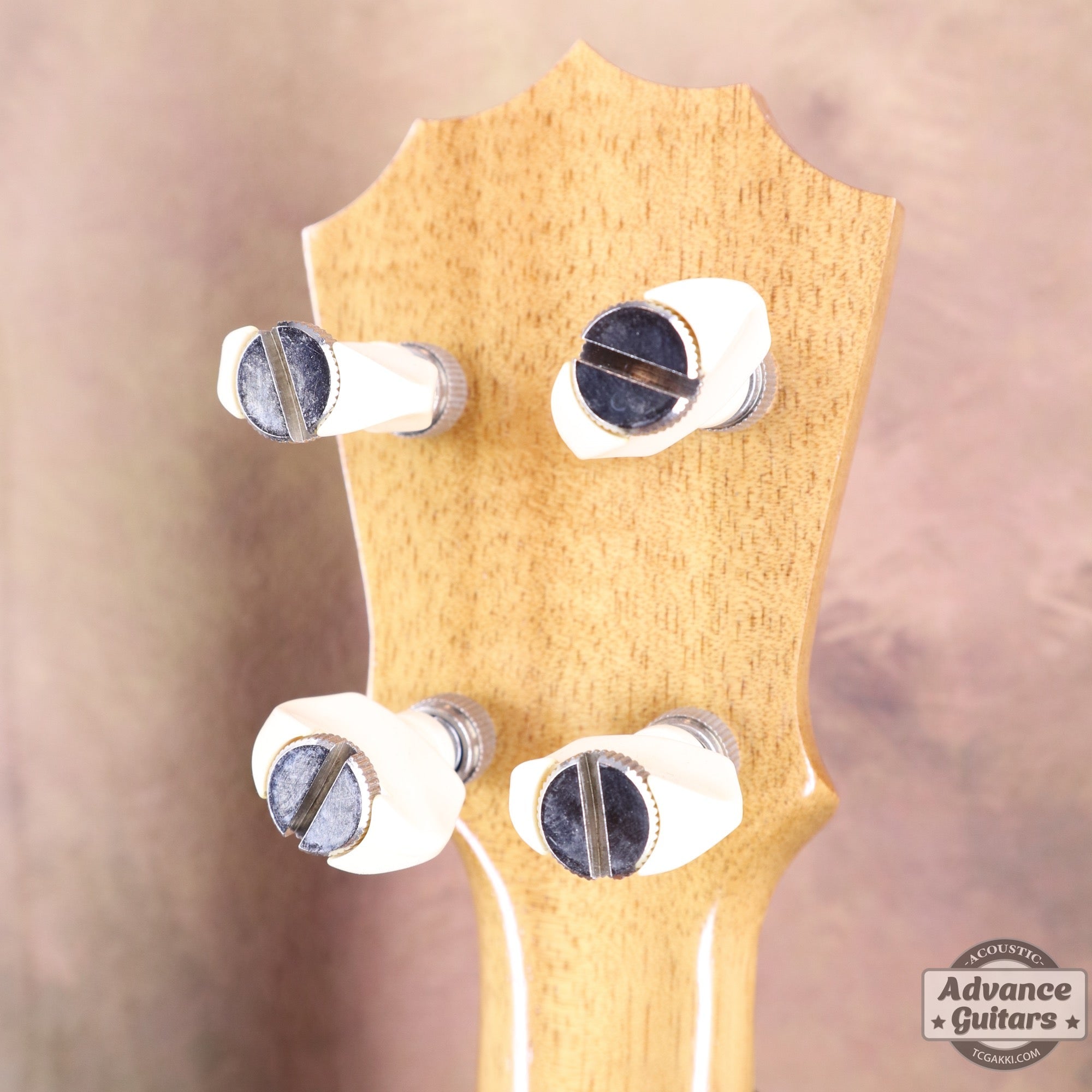 1998年製 Concert Ukulele - TC楽器 - TCGAKKI