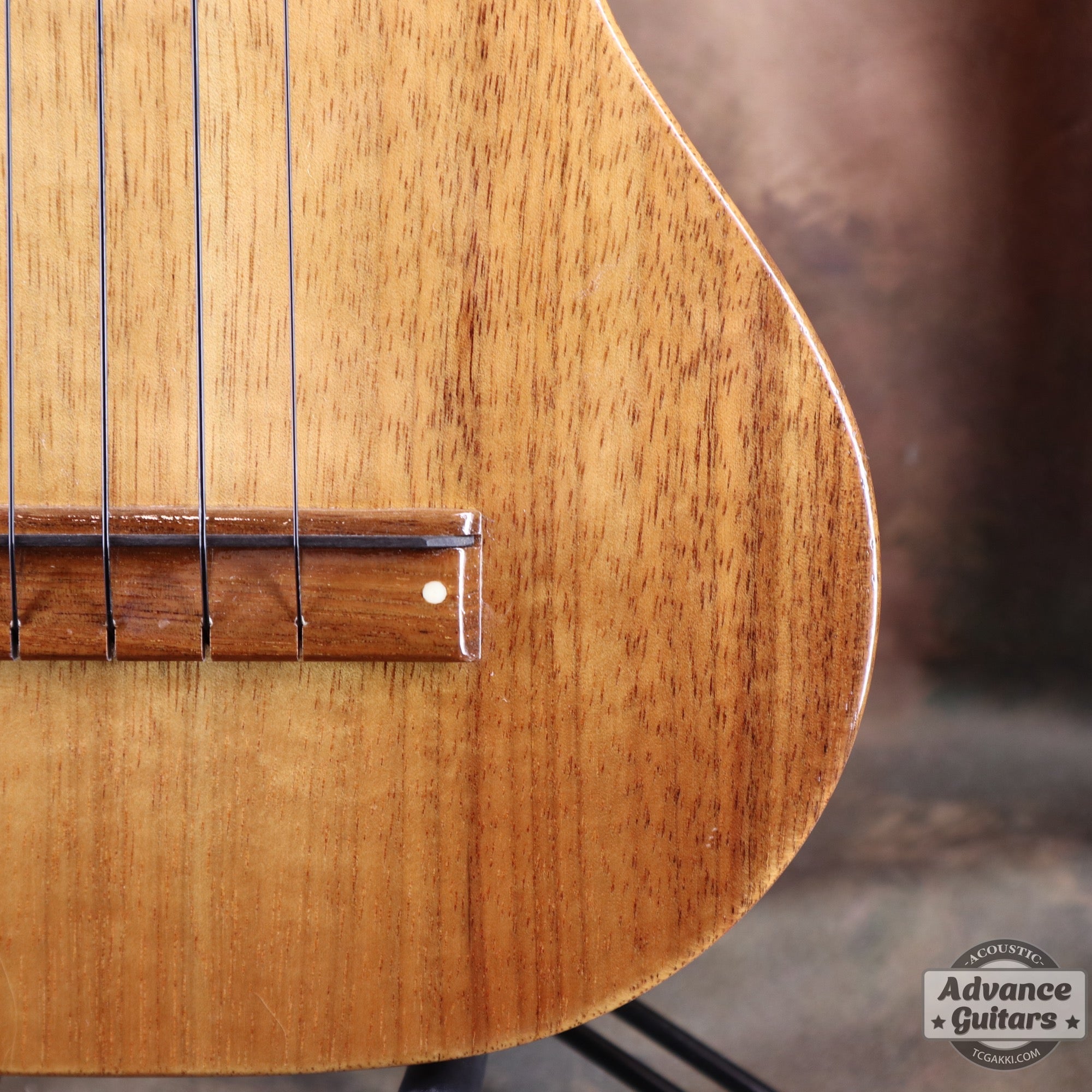 1998年製 Concert Ukulele - TC楽器 - TCGAKKI