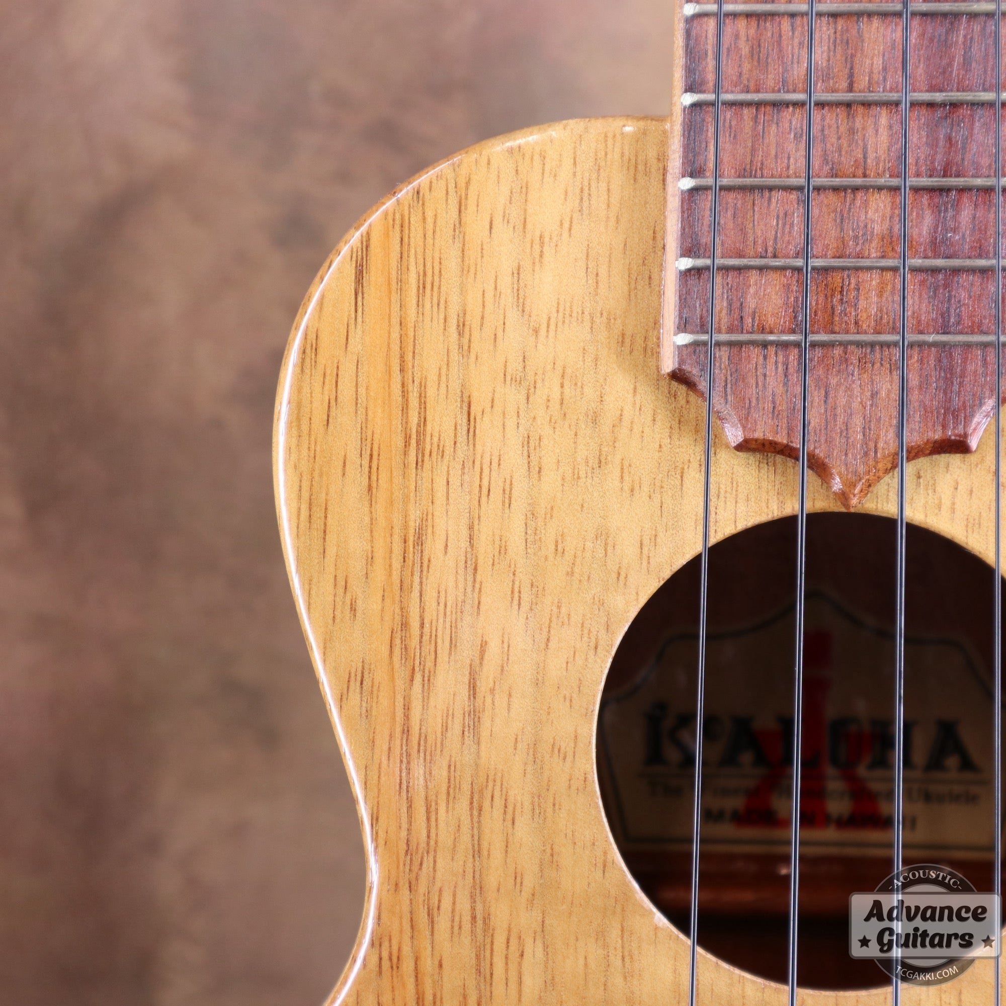 1998年製 Concert Ukulele - TC楽器 - TCGAKKI